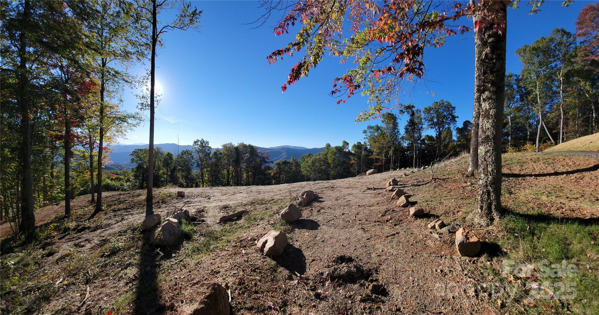 TBD Nicholas Knoll Road - Photo 17