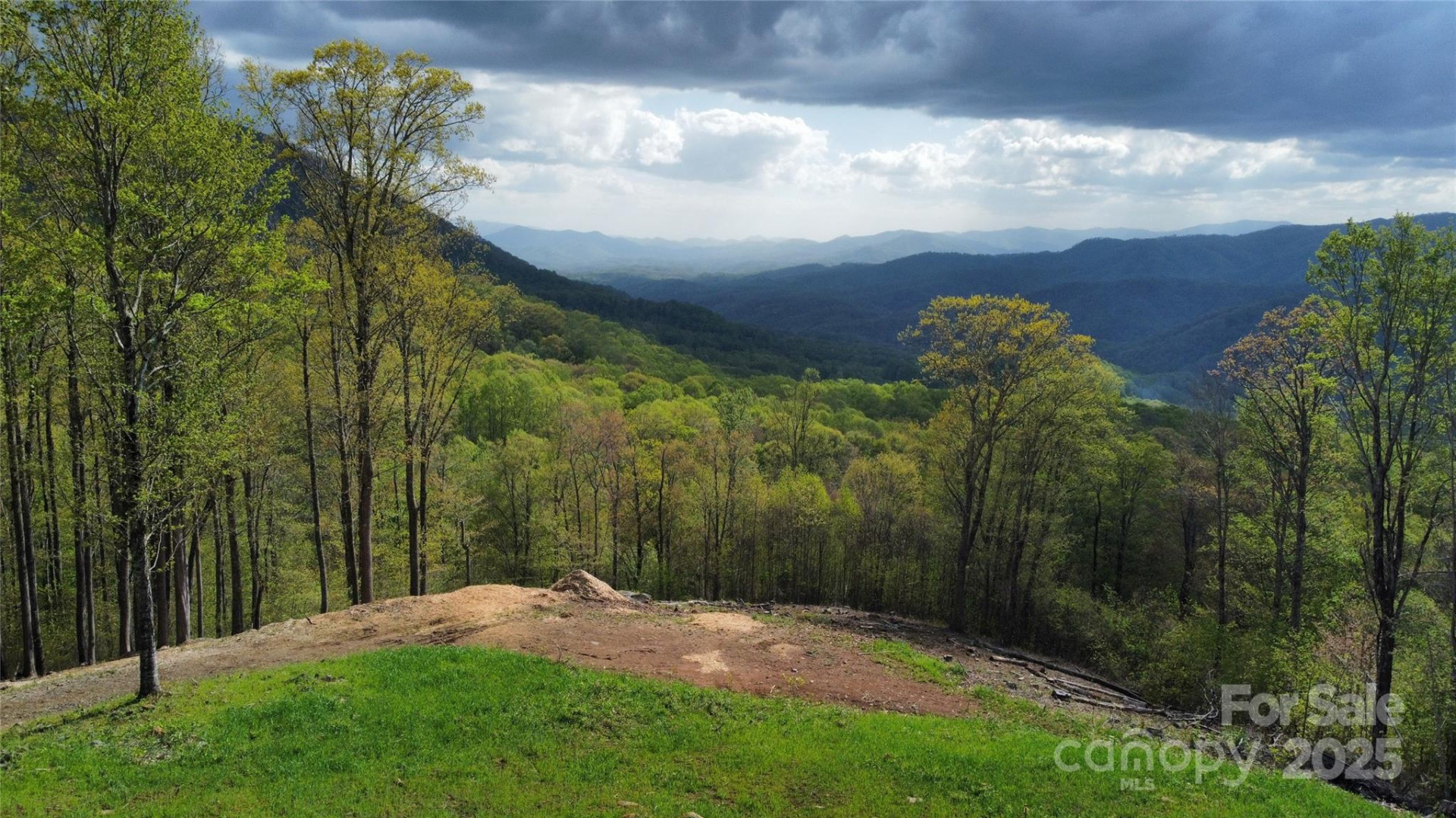 TBD Nicholas Knoll Road - Photo 18