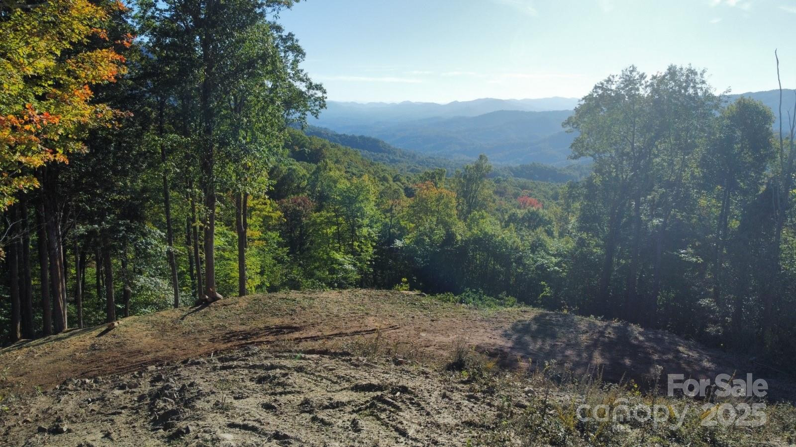 TBD Nicholas Knoll Road - Photo 20