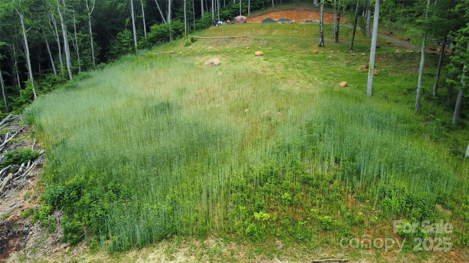 TBD Nicholas Knoll Road - Photo 21