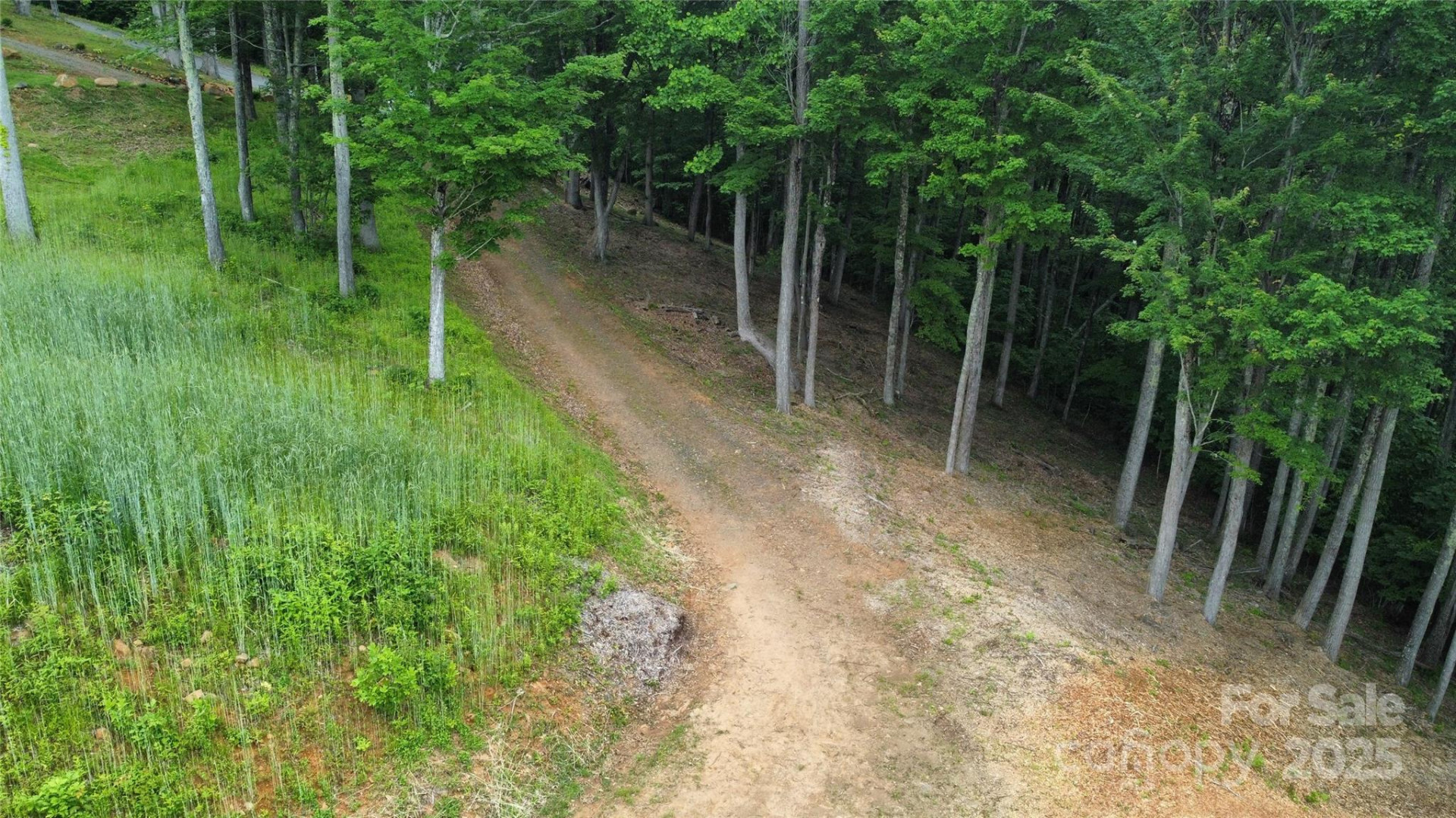 TBD Nicholas Knoll Road - Photo 22