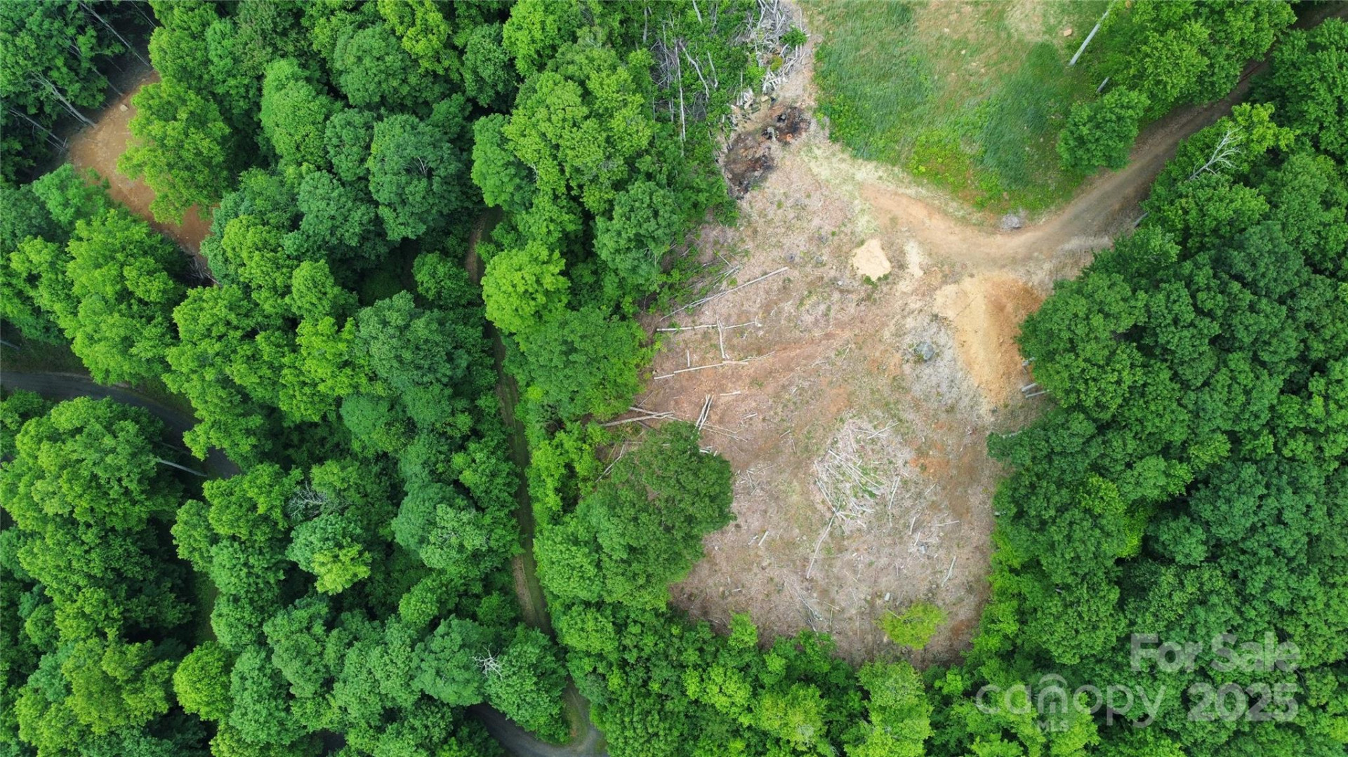 TBD Nicholas Knoll Road - Photo 23