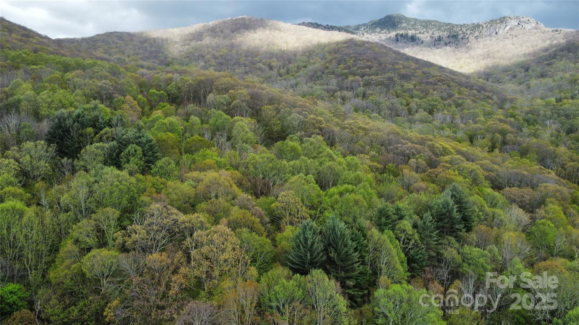 TBD Nicholas Knoll Road - Photo 24