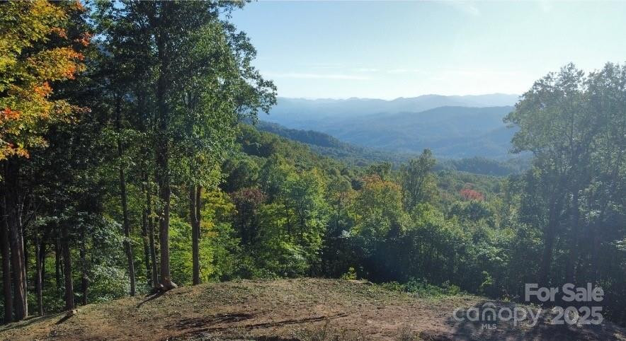 TBD Nicholas Knoll Road - Photo 25