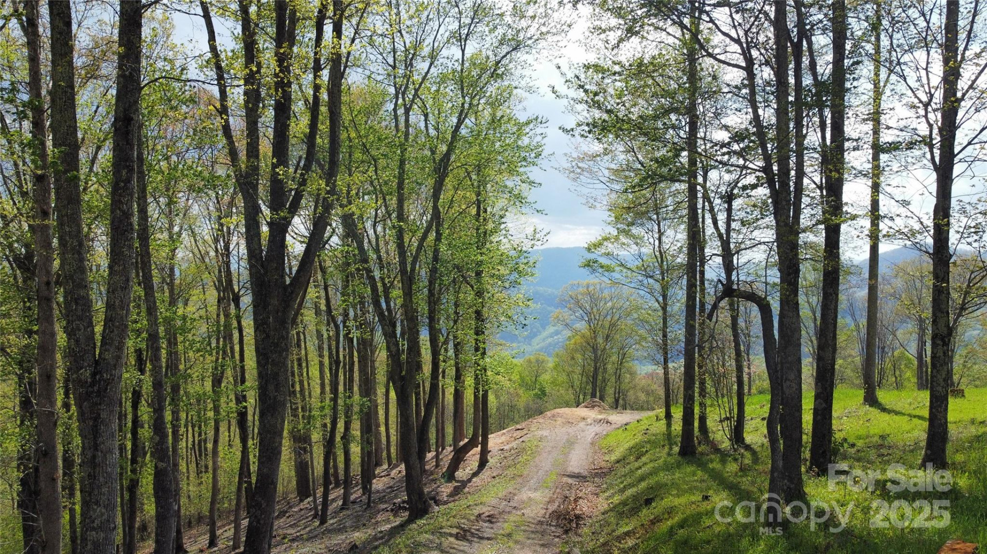 TBD Nicholas Knoll Road - Photo 26