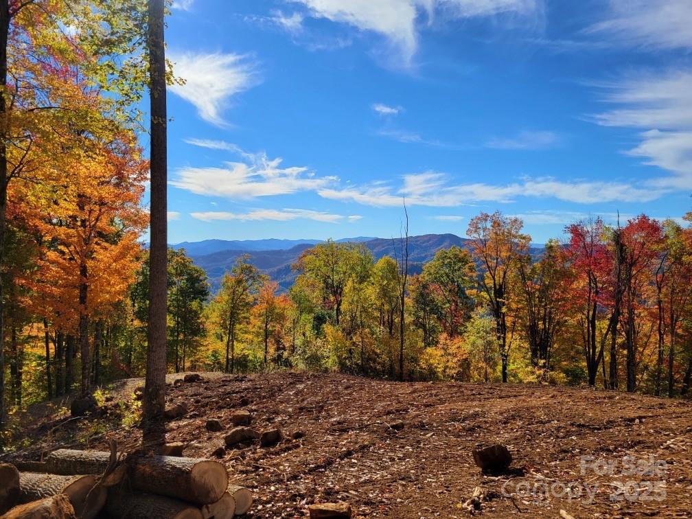 TBD Nicholas Knoll Road - Photo 27