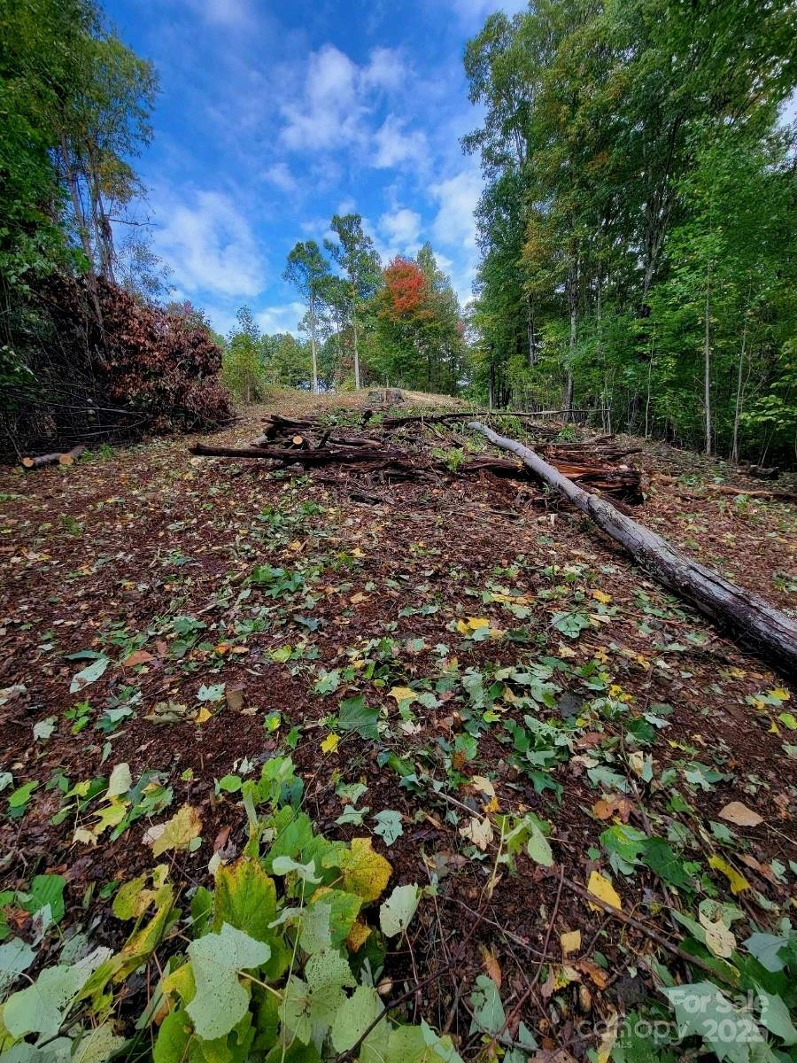 TBD Nicholas Knoll Road - Photo 28