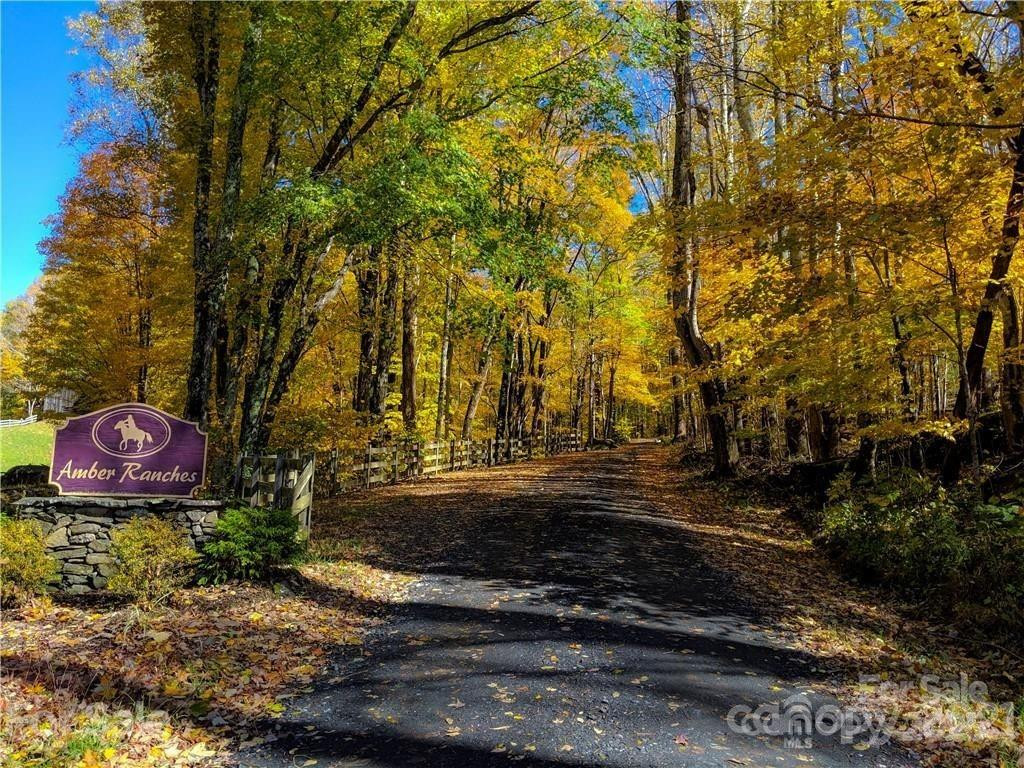 TBD Nicholas Knoll Road - Photo 7