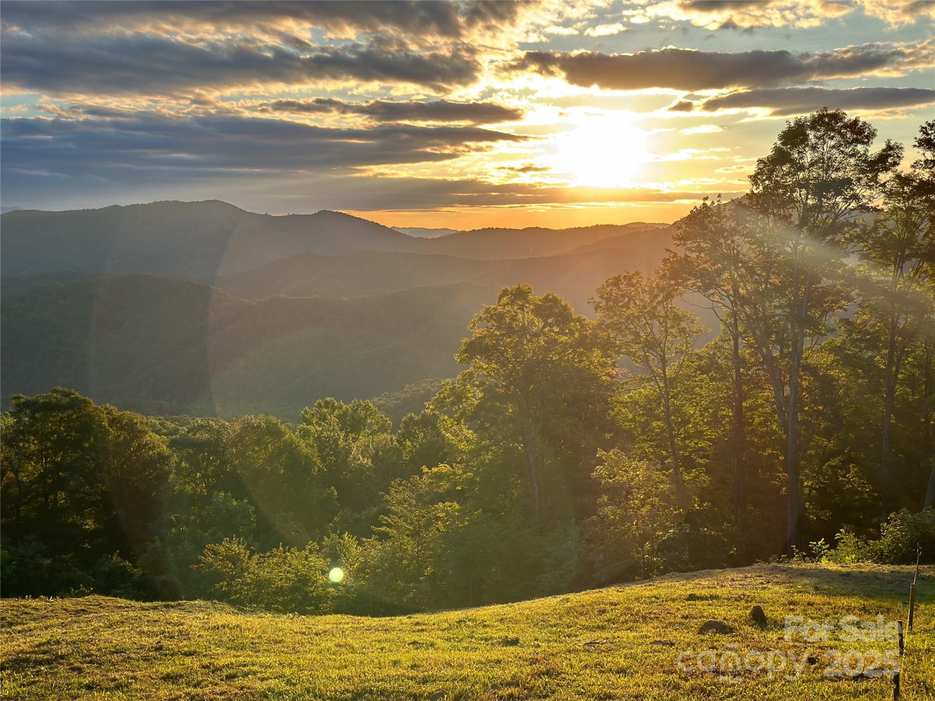 TBD Nicholas Knoll Road - Photo 9