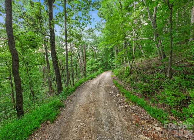 99999 Little Pisgah Road, Gerton, NC, 28735