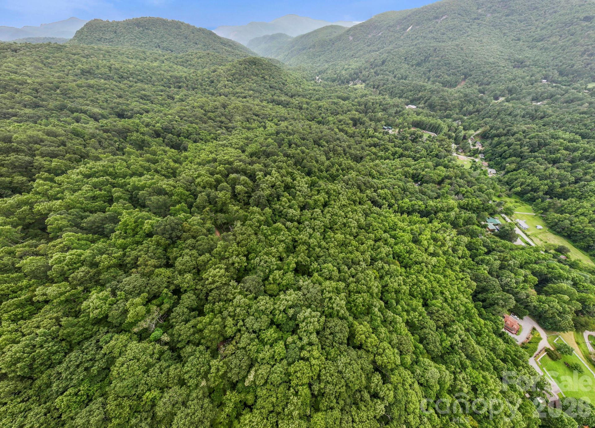 99999 Little Pisgah Road - Photo 11