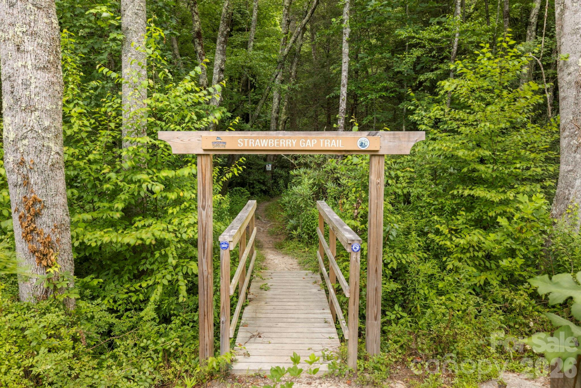 99999 Little Pisgah Road - Photo 4