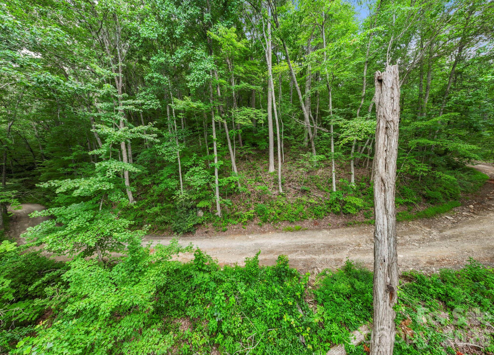 99999 Little Pisgah Road - Photo 7