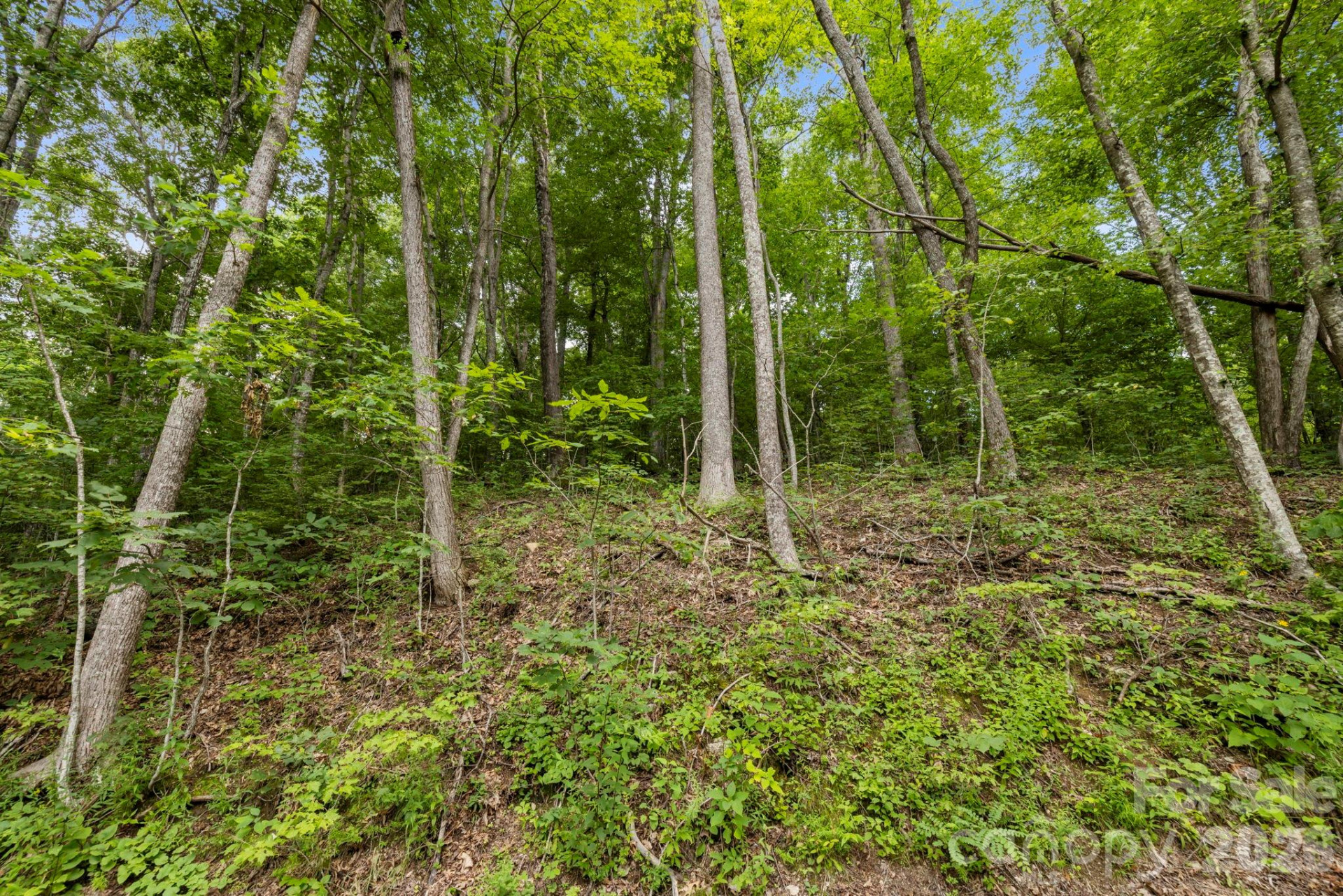 99999 Little Pisgah Road - Photo 9