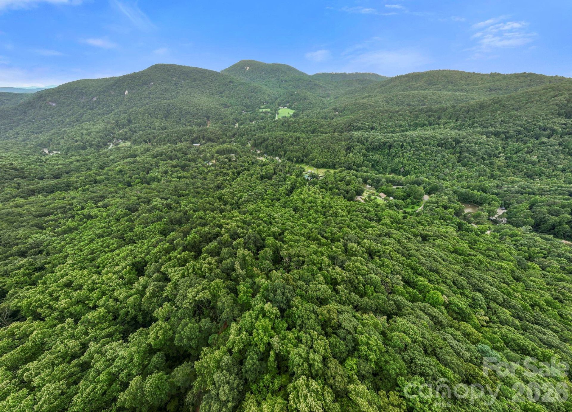 99999 Little Pisgah Road - Photo 10