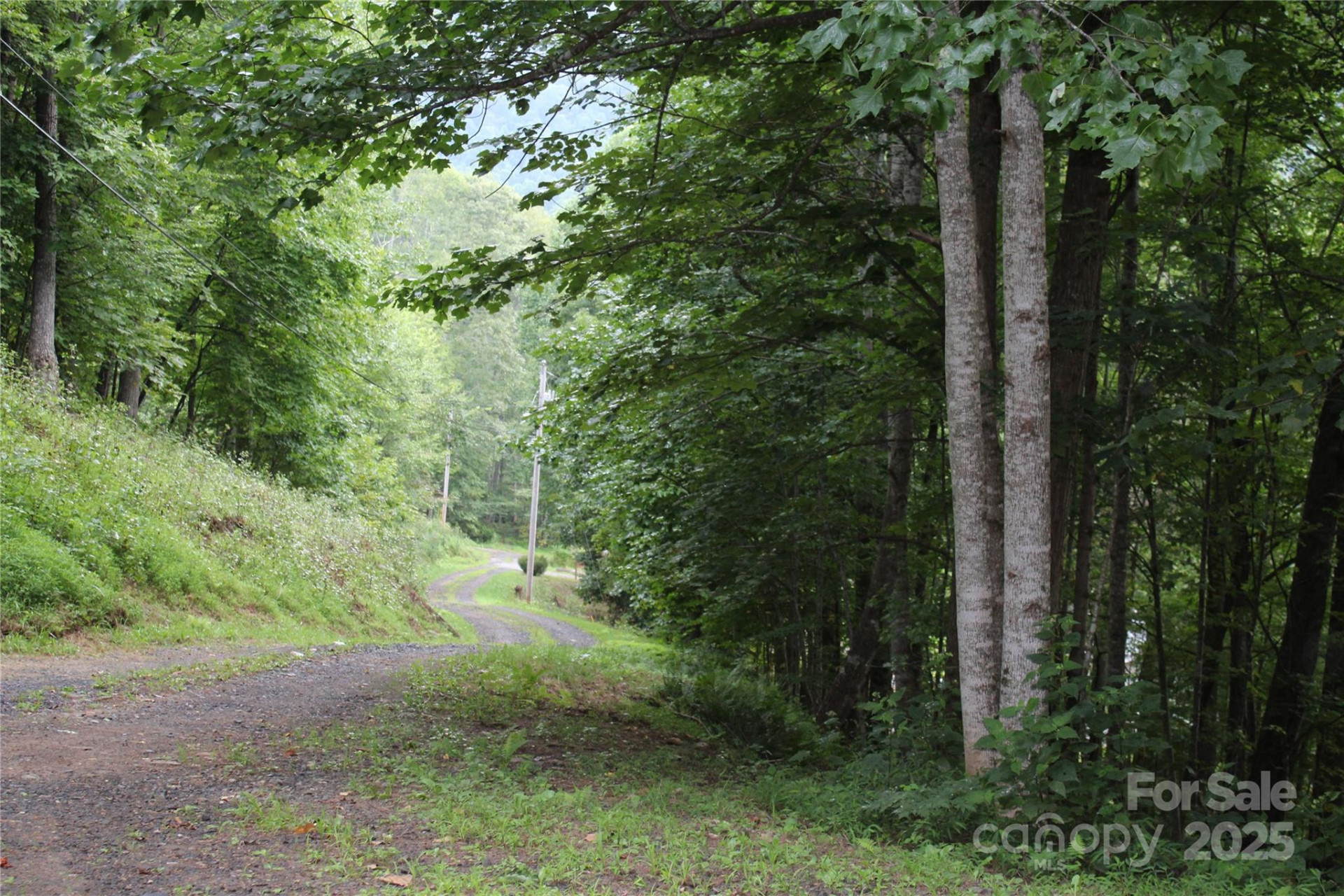 Lots 8 & 13 Laurel Hill Drive - Photo 11