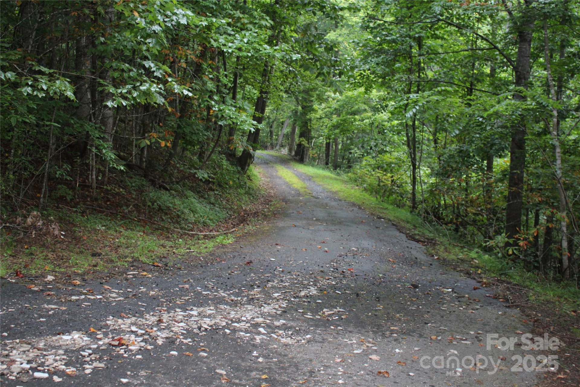 Lots 8 & 13 Laurel Hill Drive - Photo 12