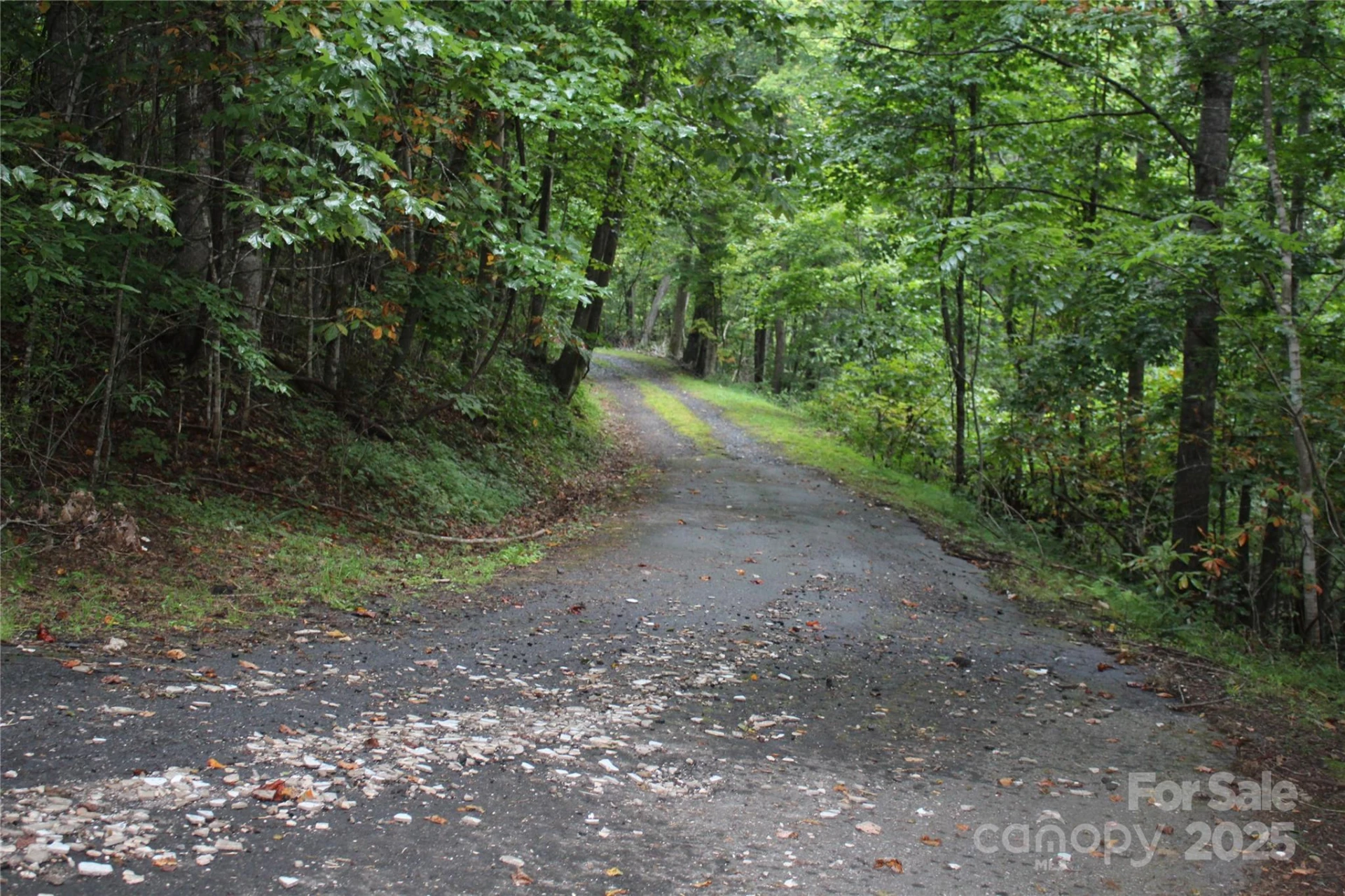 Lots 8 & 13 Laurel Hill Drive - Photo 12