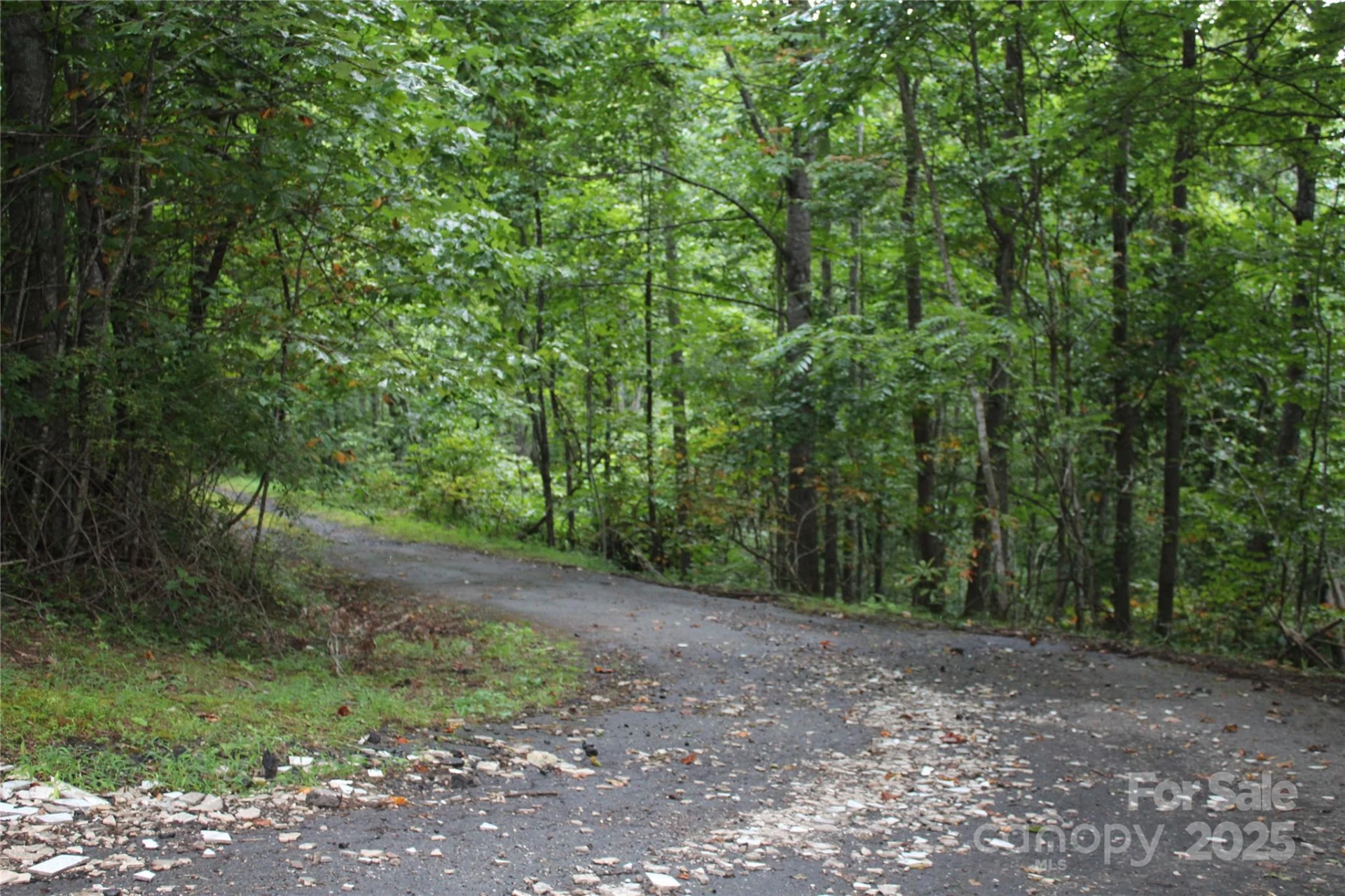 Lots 8 & 13 Laurel Hill Drive - Photo 13