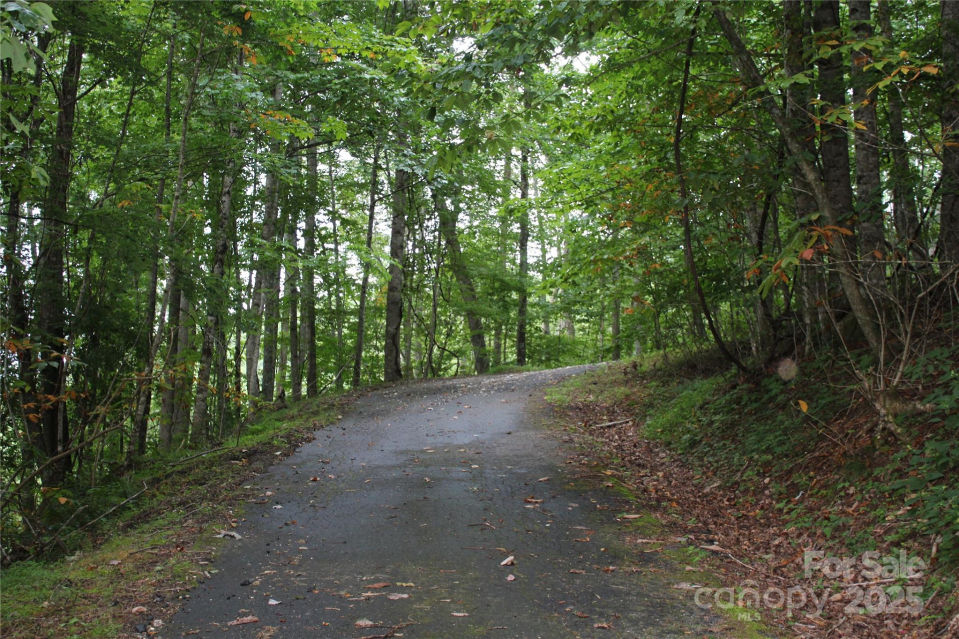 Lots 8 & 13 Laurel Hill Drive - Photo 14