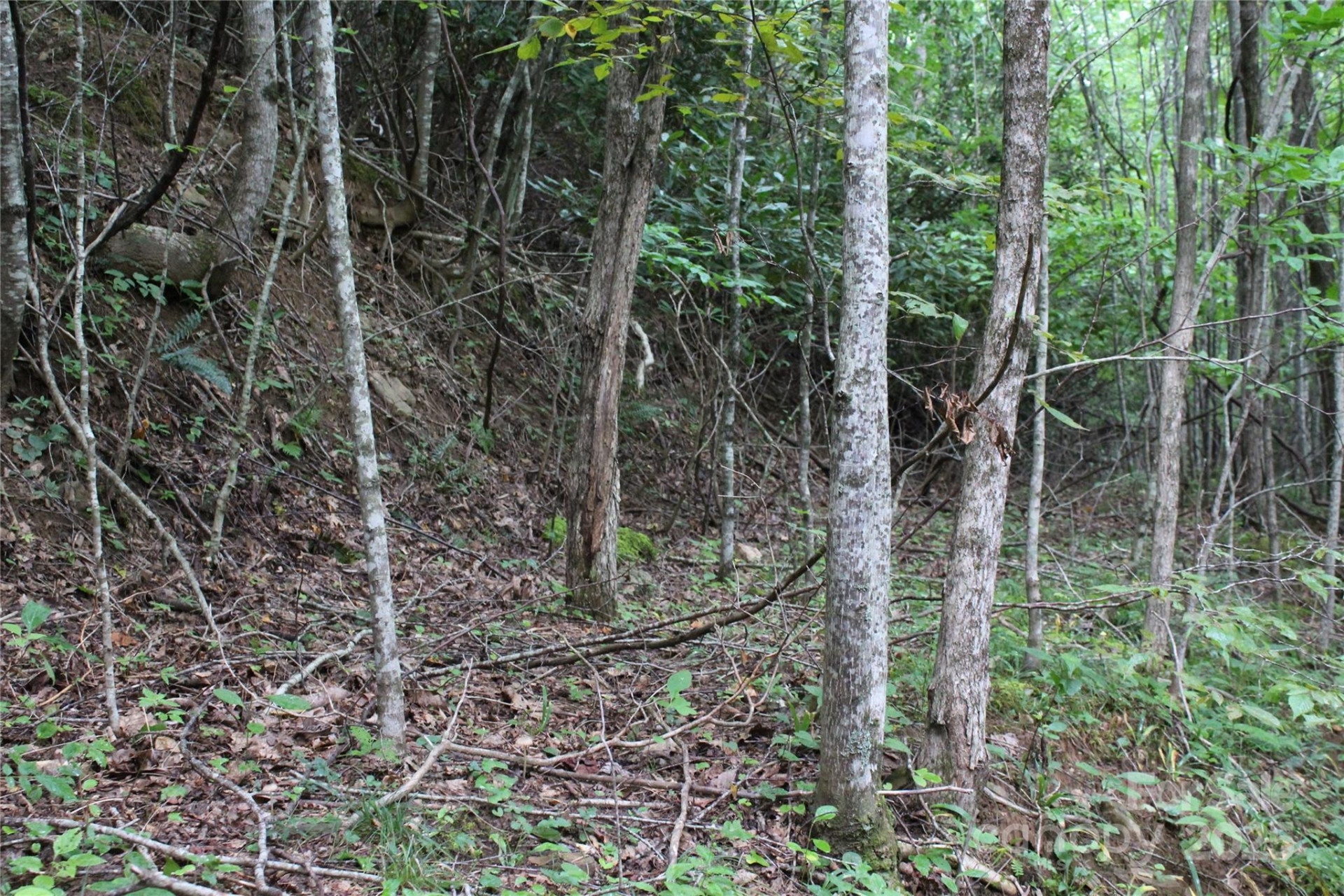 Lots 8 & 13 Laurel Hill Drive - Photo 16