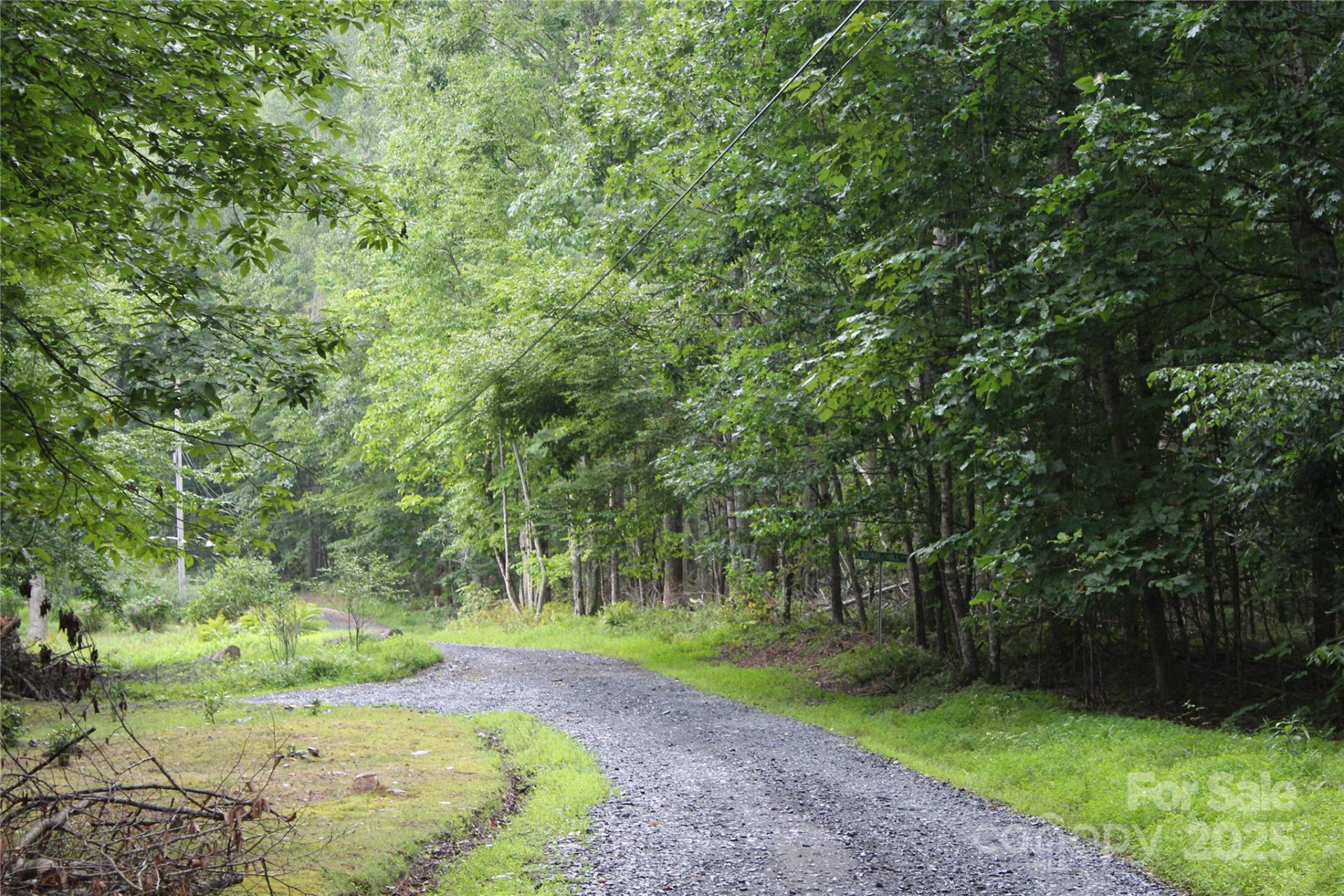 Lots 8 & 13 Laurel Hill Drive - Photo 4