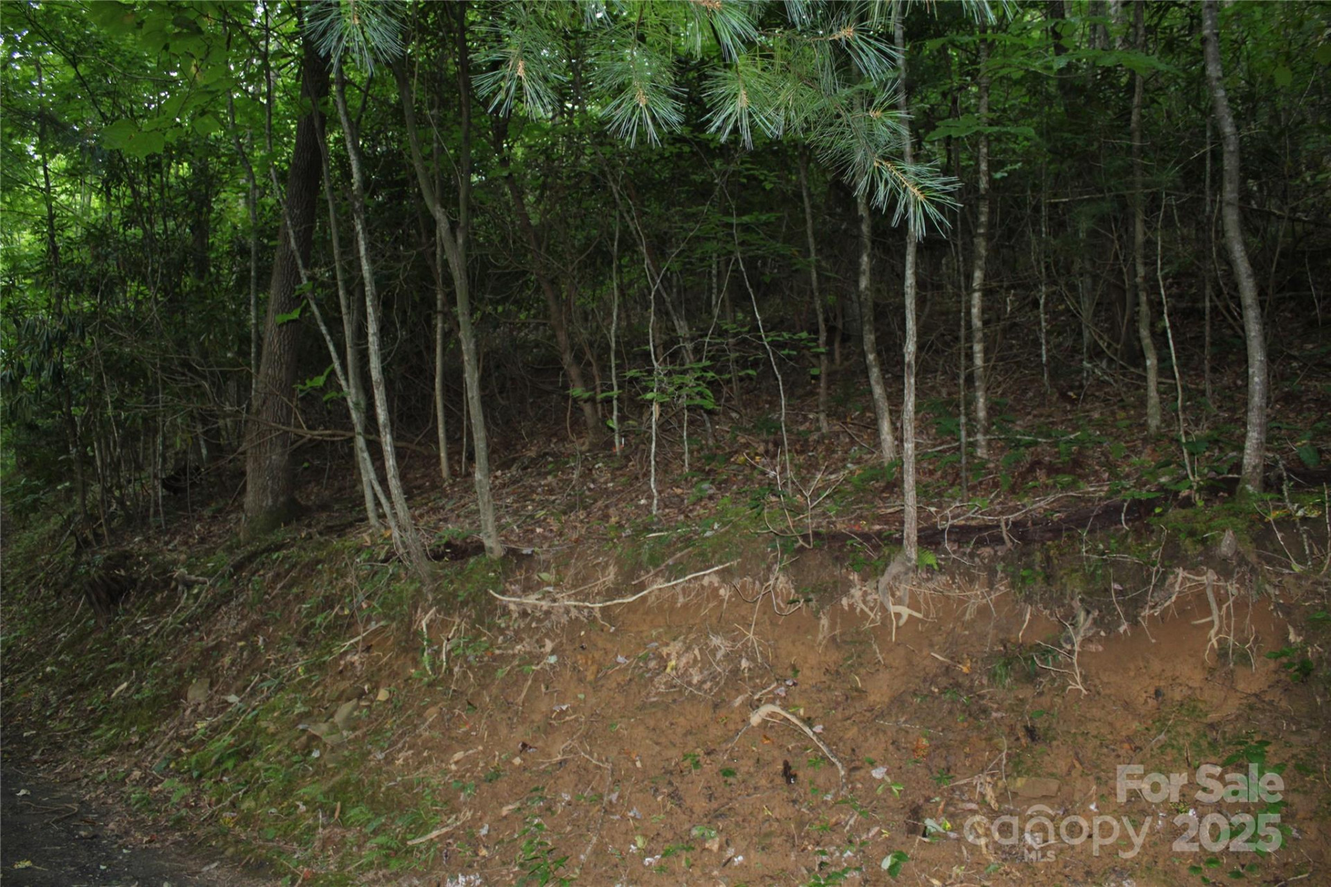 Lots 8 & 13 Laurel Hill Drive - Photo 6