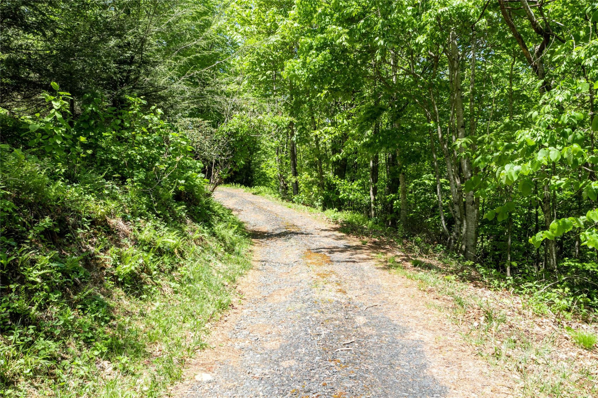 Lots 8 & 13 Laurel Hill Drive - Photo 7