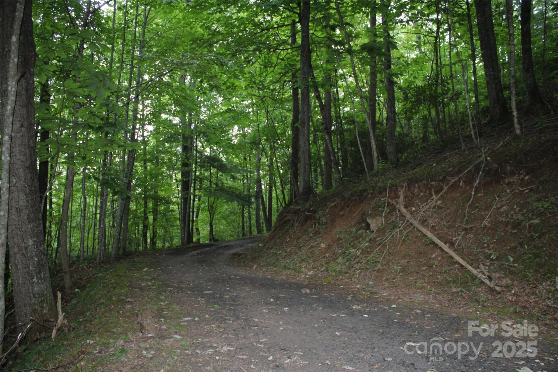 Lots 8 & 13 Laurel Hill Drive - Photo 8