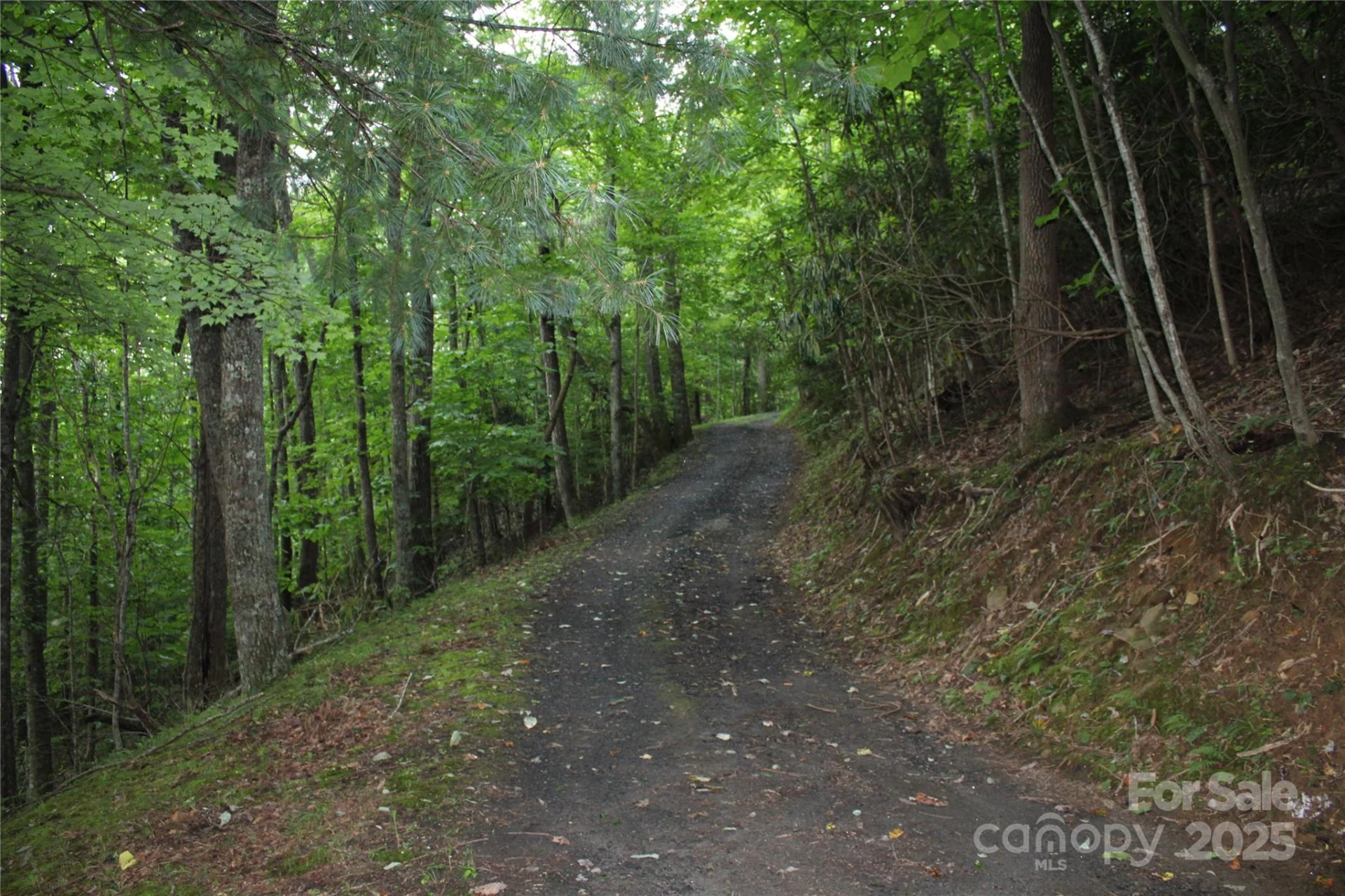 Lots 8 & 13 Laurel Hill Drive - Photo 9