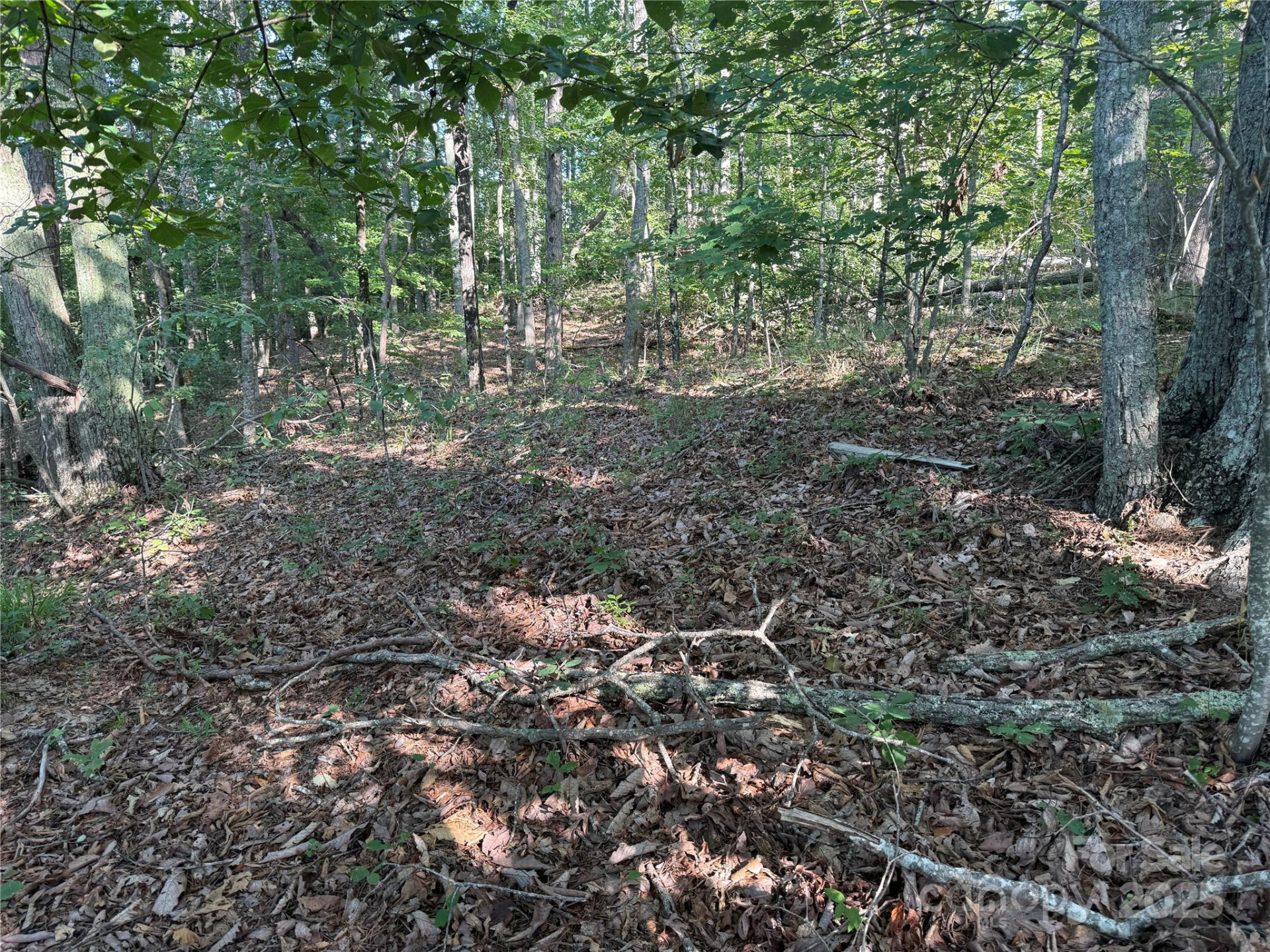 Lot 332 Scenic Vista Drive #332 - Photo 12