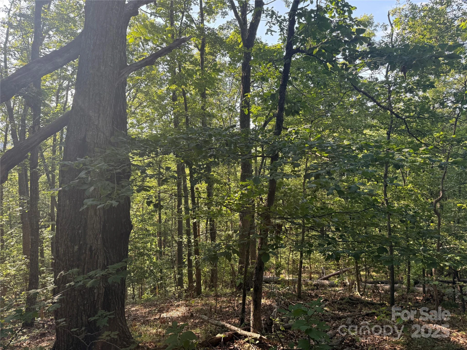 Lot 332 Scenic Vista Drive #332 - Photo 13