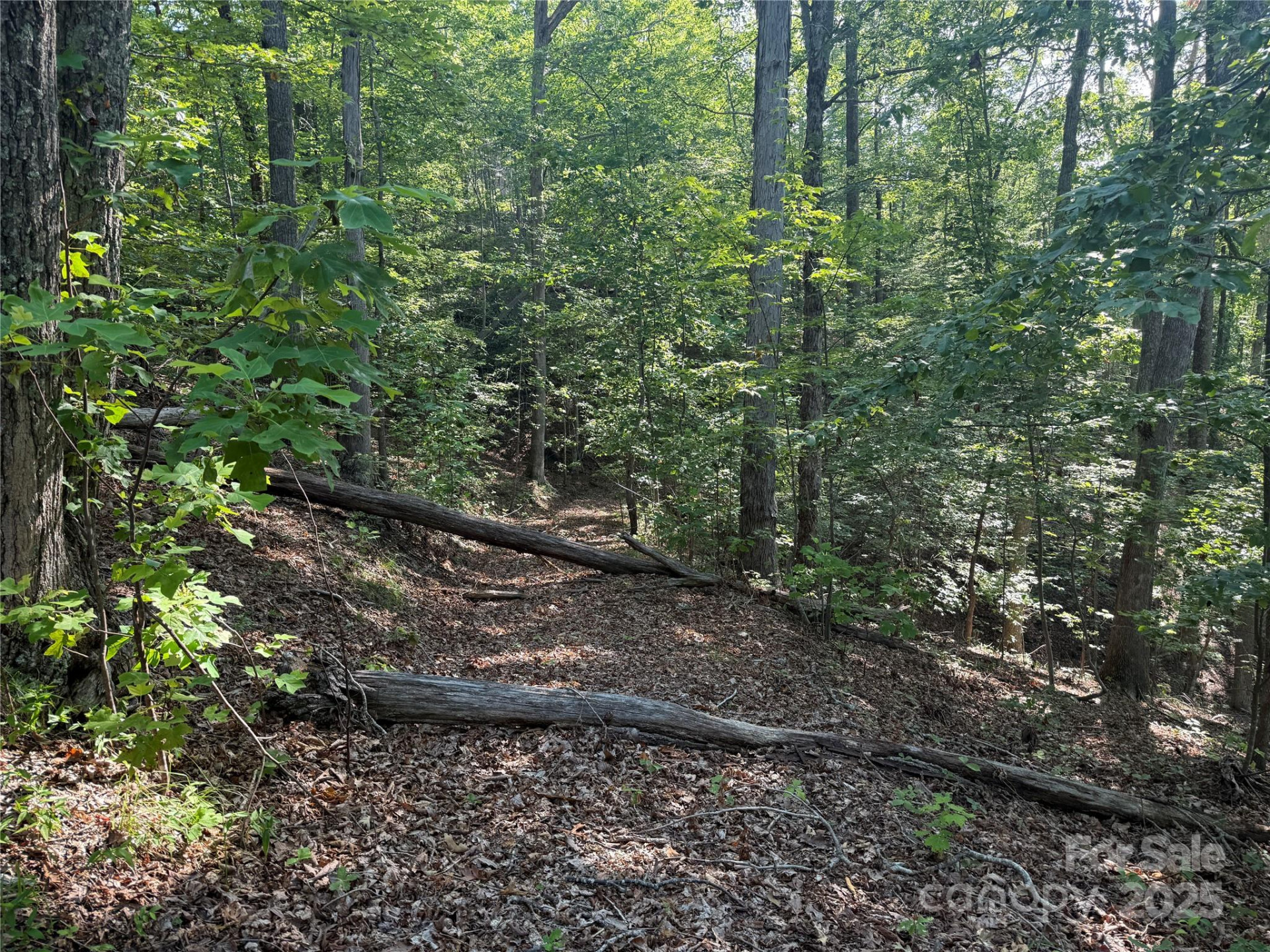 Lot 332 Scenic Vista Drive #332 - Photo 14