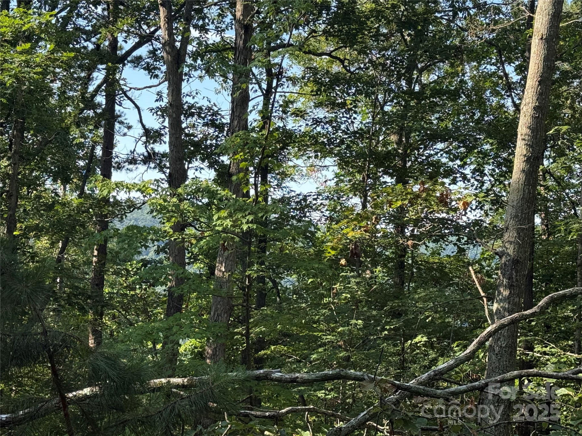 Lot 332 Scenic Vista Drive #332 - Photo 15