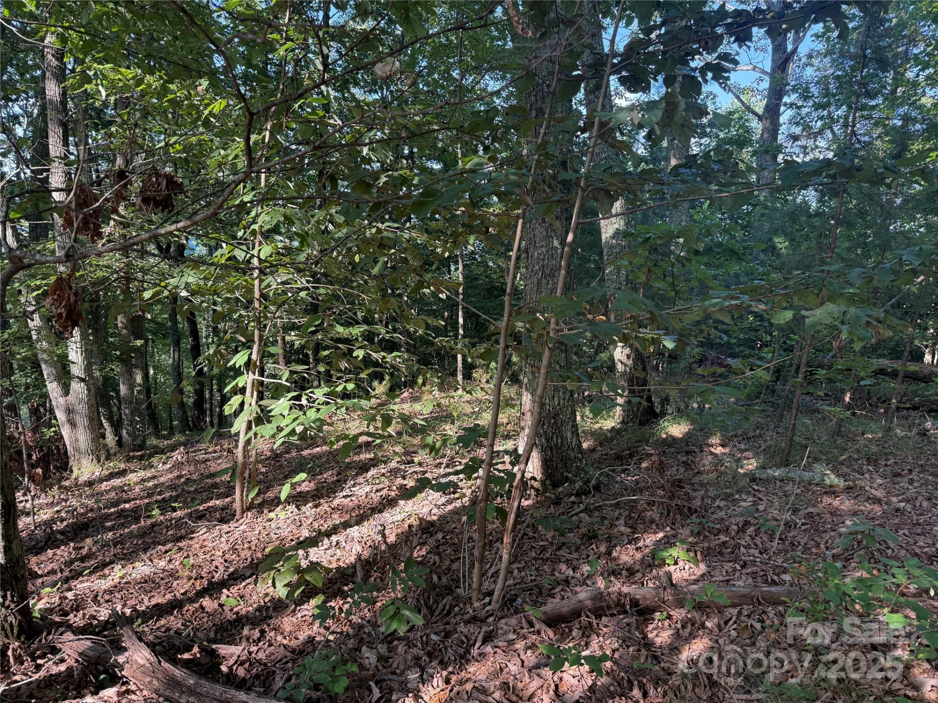 Lot 332 Scenic Vista Drive #332 - Photo 4