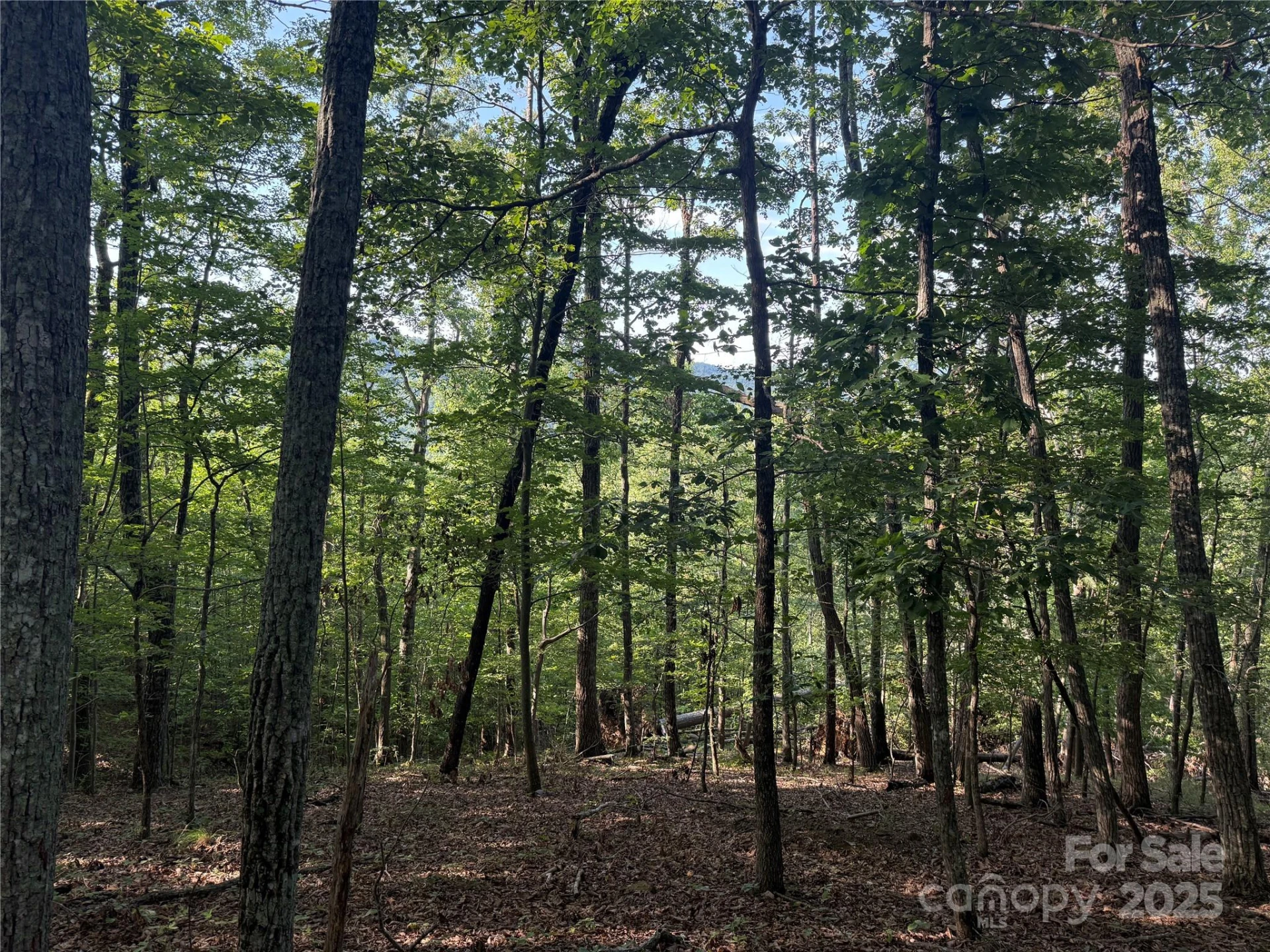 Lot 332 Scenic Vista Drive #332 - Photo 7
