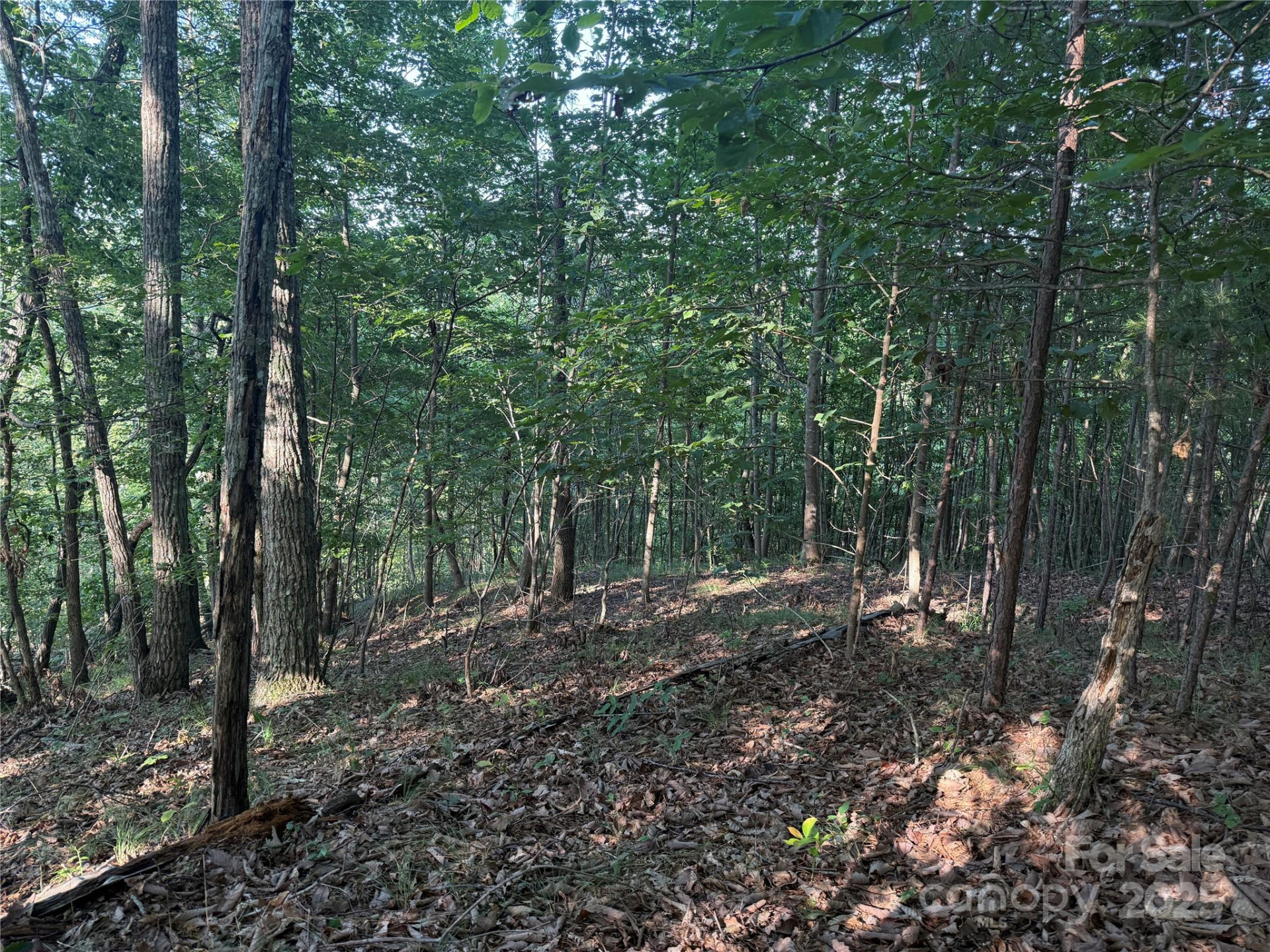 Lot 332 Scenic Vista Drive #332 - Photo 8