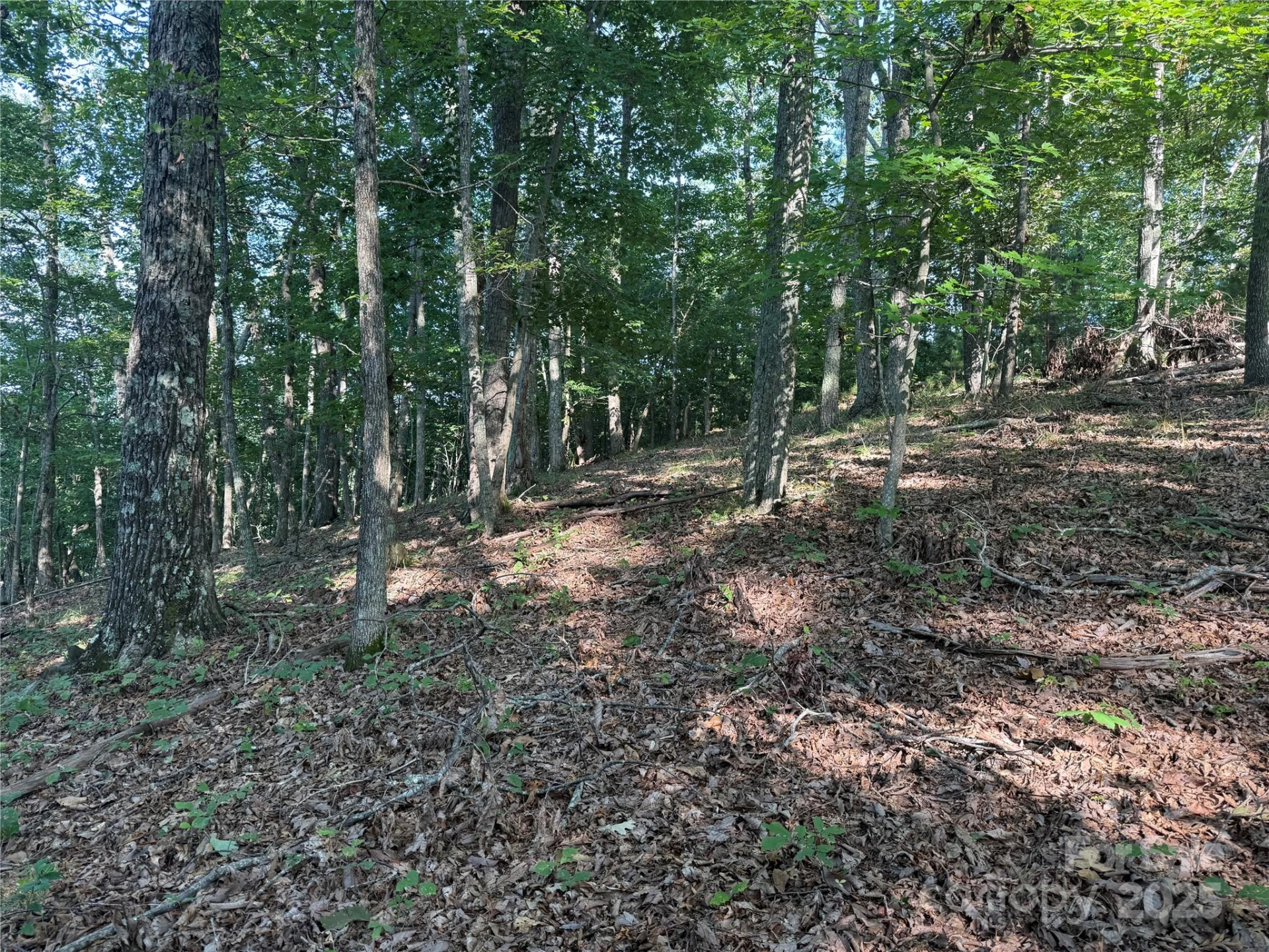 Lot 332 Scenic Vista Drive #332 - Photo 9