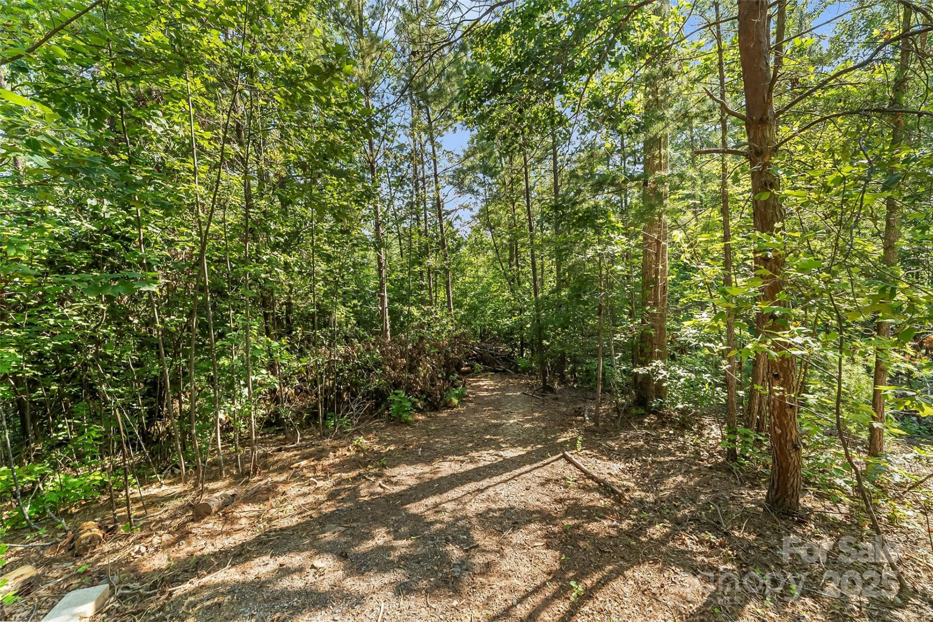 V/L Horizon Drive - Photo 5