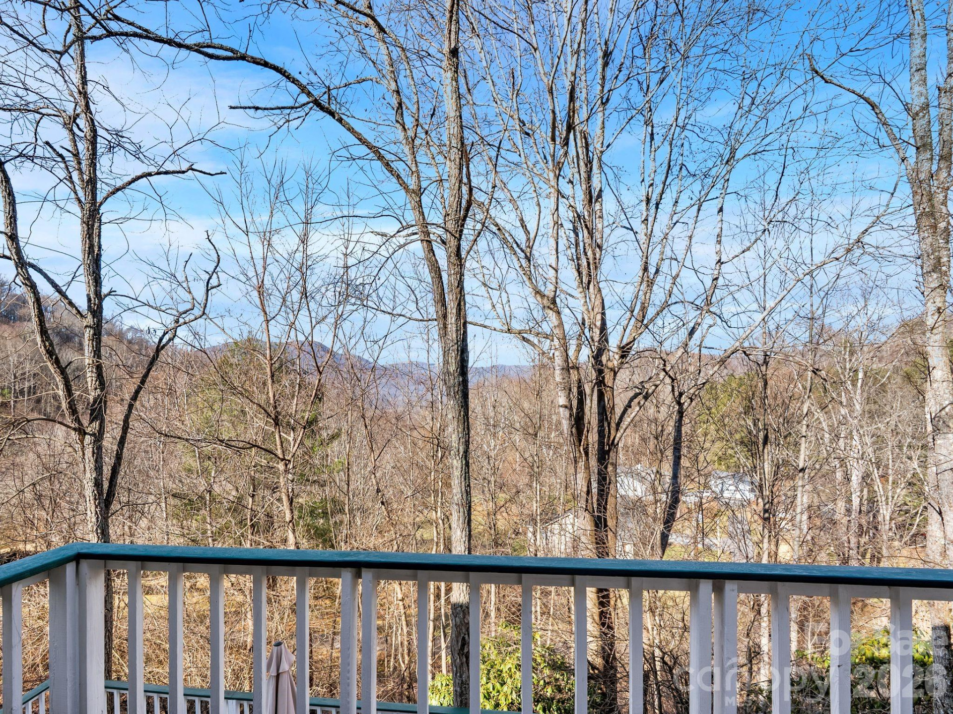 53 Hackberry Lane - Photo 4