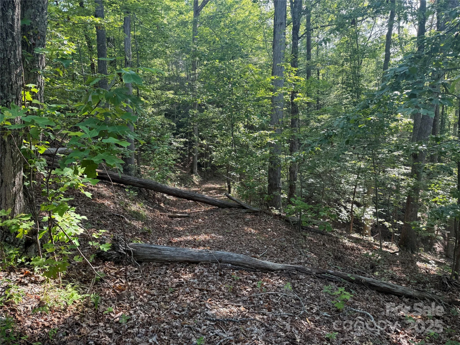 Lot 333 Scenic Vista Drive #333 - Photo 14