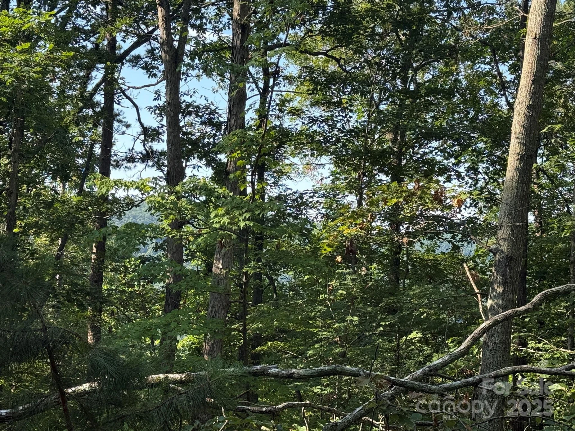 Lot 333 Scenic Vista Drive #333 - Photo 15