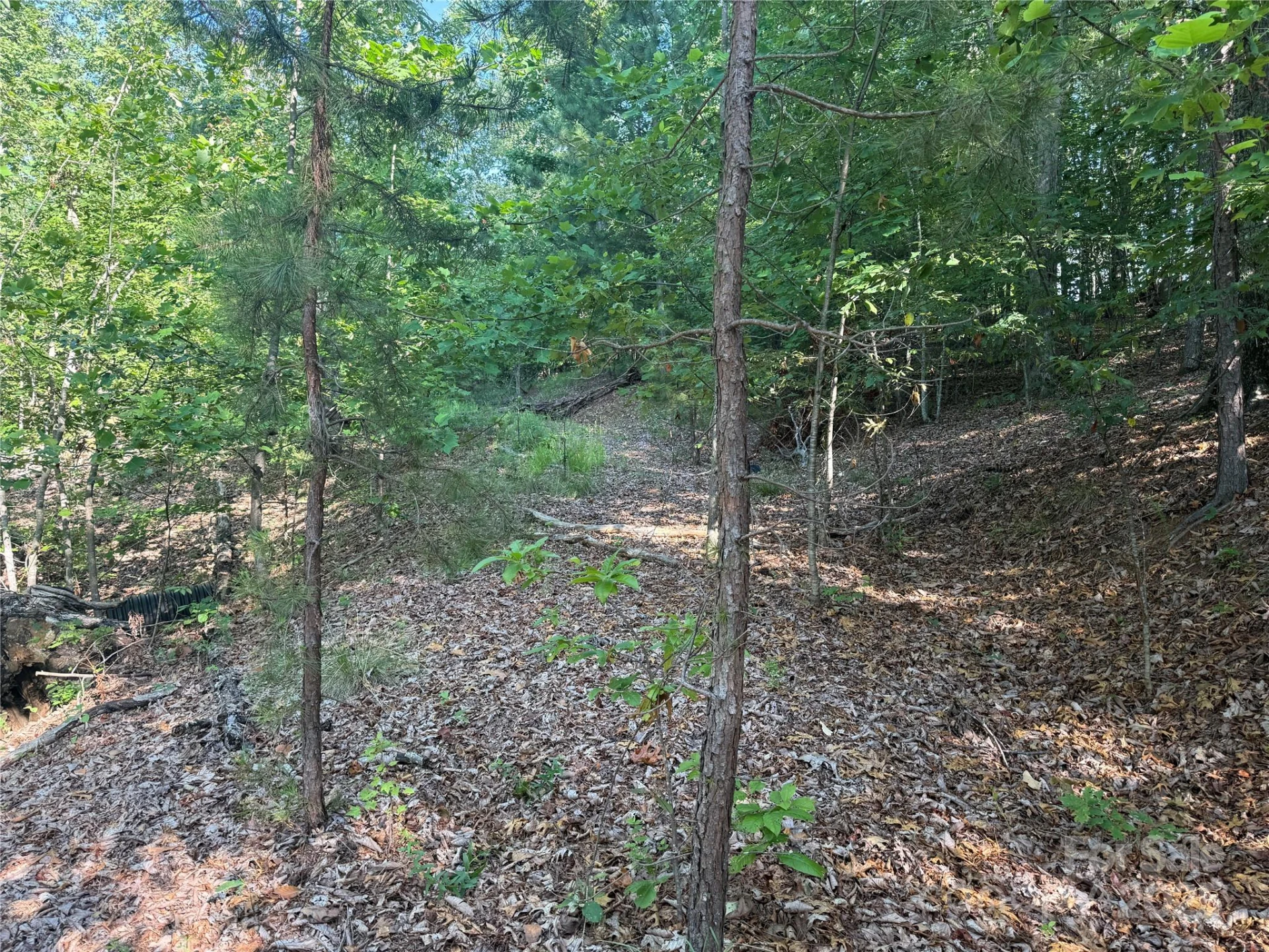 Lot 333 Scenic Vista Drive #333 - Photo 16