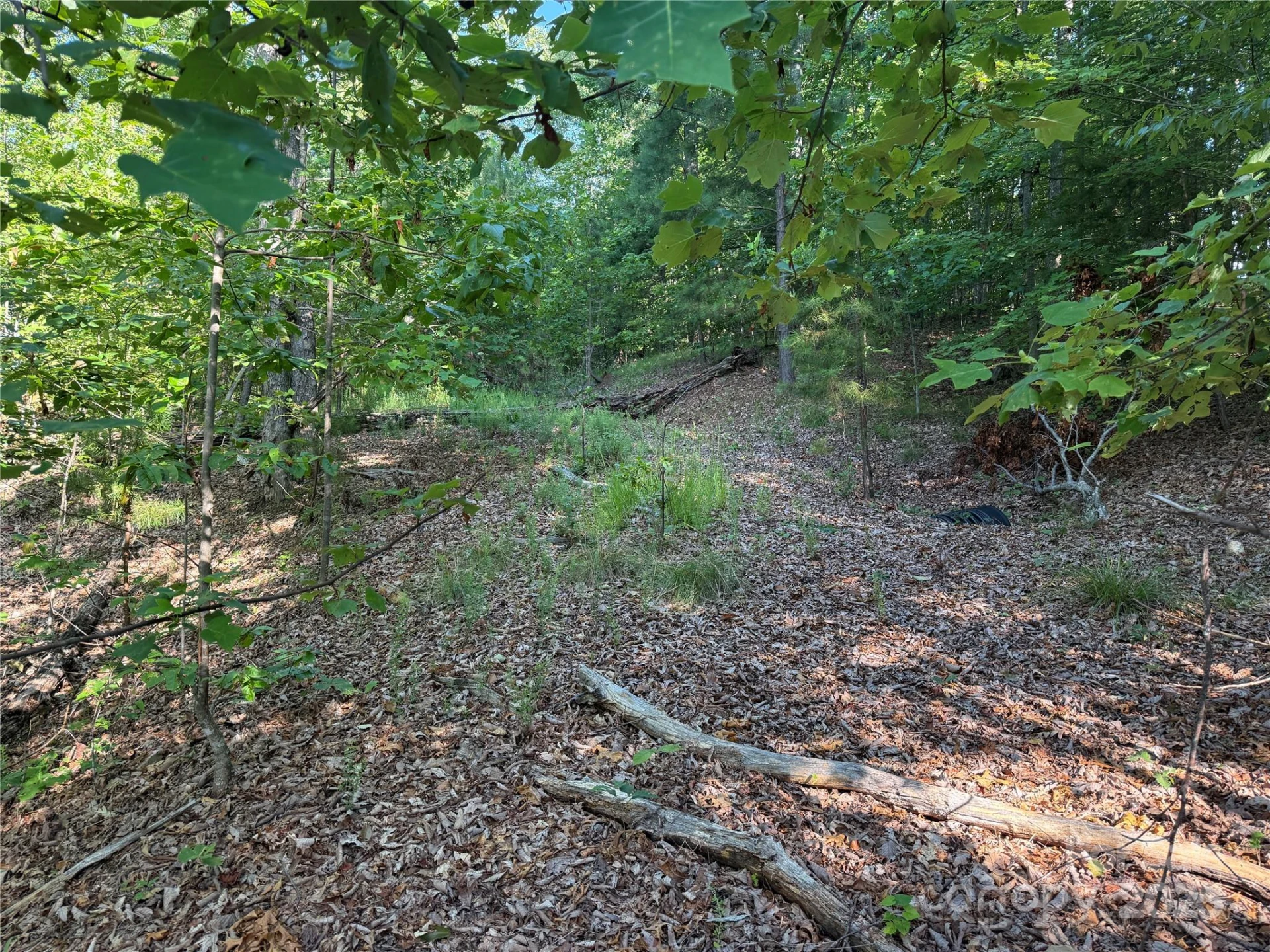 Lot 333 Scenic Vista Drive #333 - Photo 17