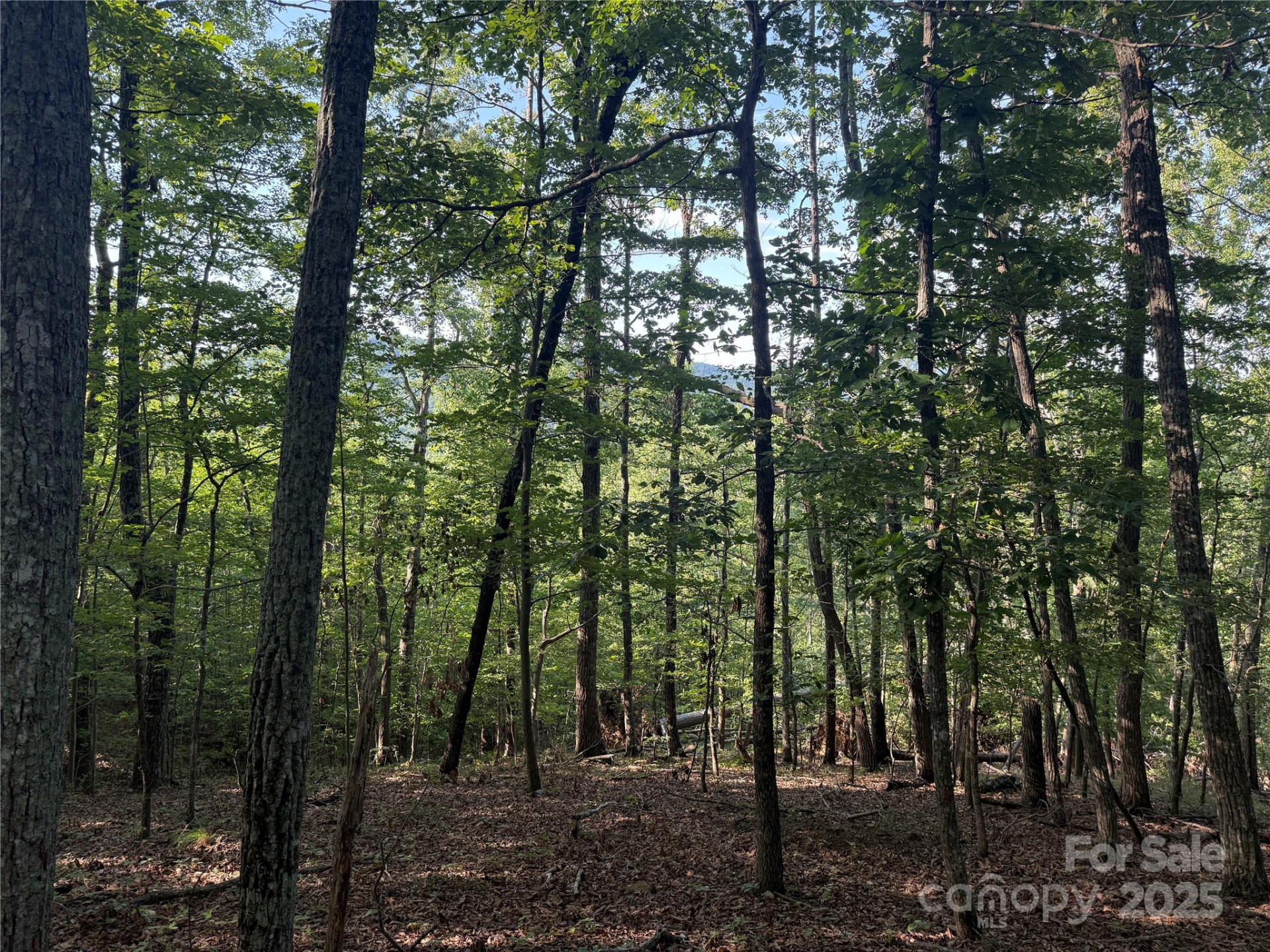 Lot 333 Scenic Vista Drive #333 - Photo 7