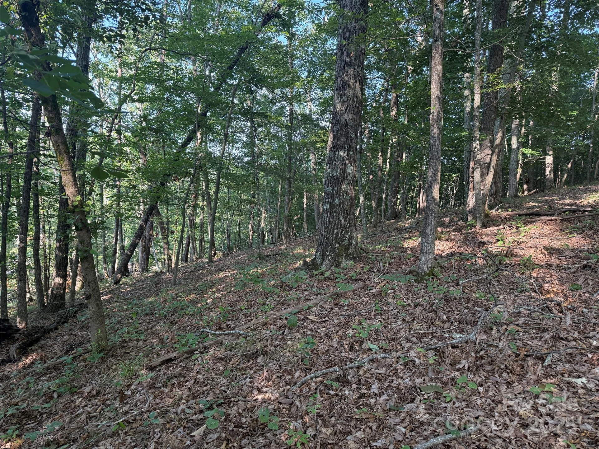 Lot 333 Scenic Vista Drive #333 - Photo 10