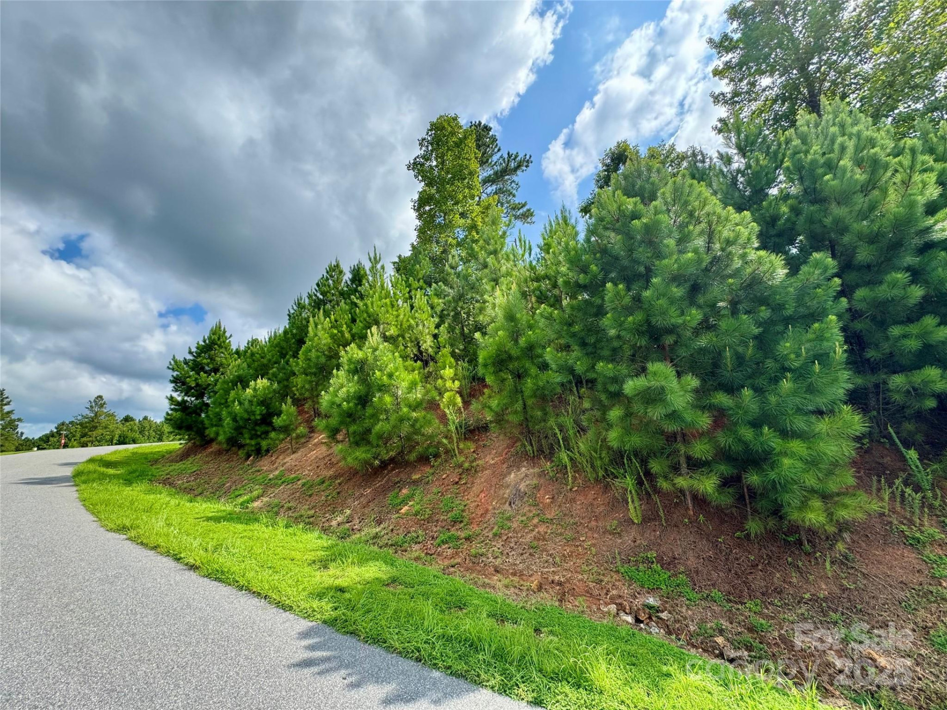 2039 Lake Vista Drive #38 - Photo 4