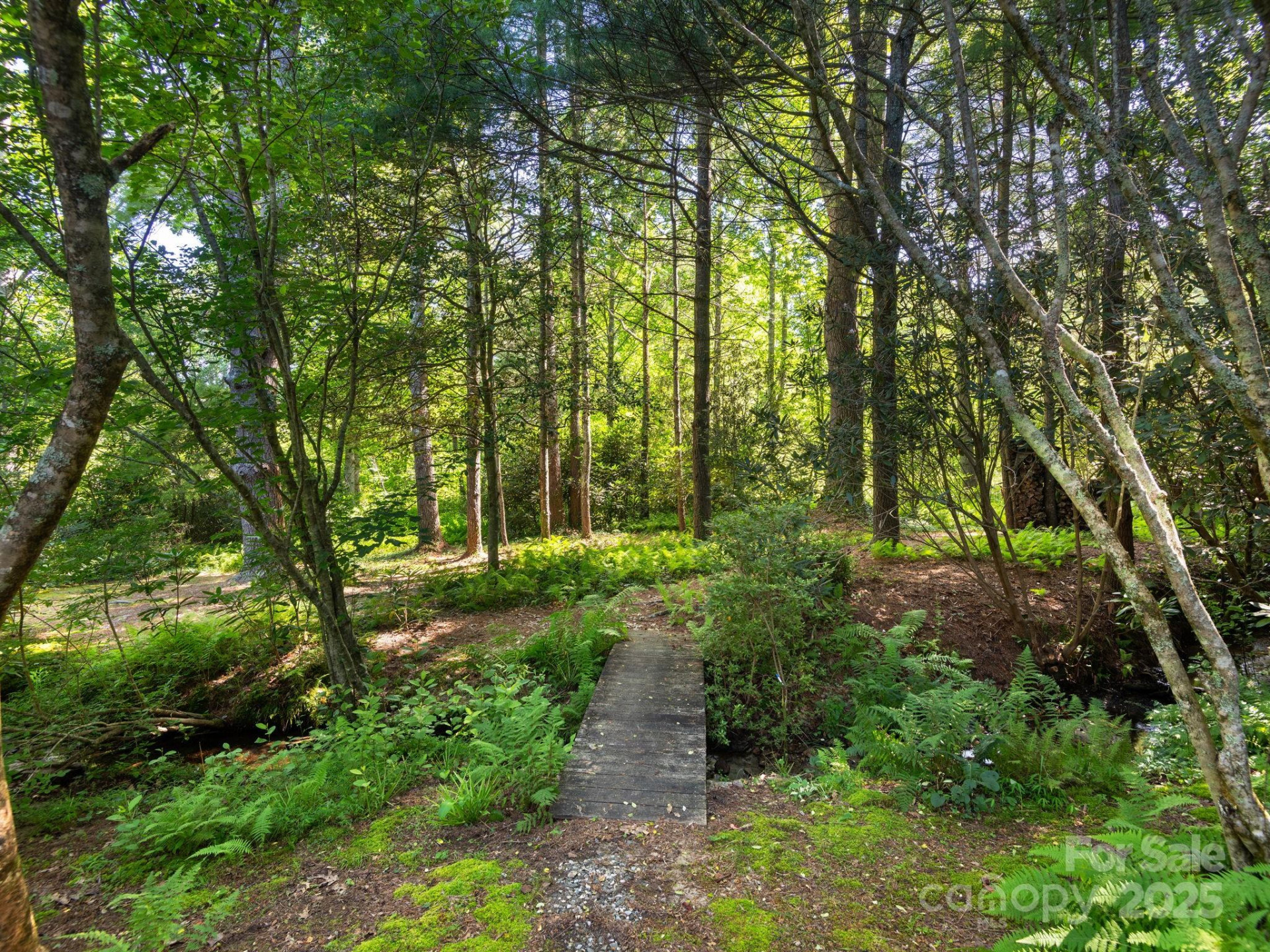 3541 Willow Creek Road - Photo 6