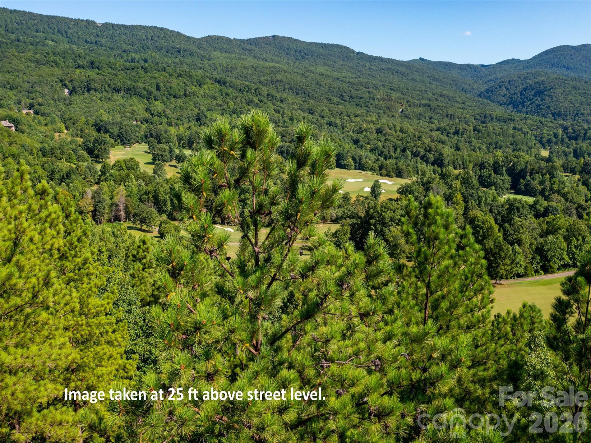 2026 Deep Gap Farm Road - Photo 2