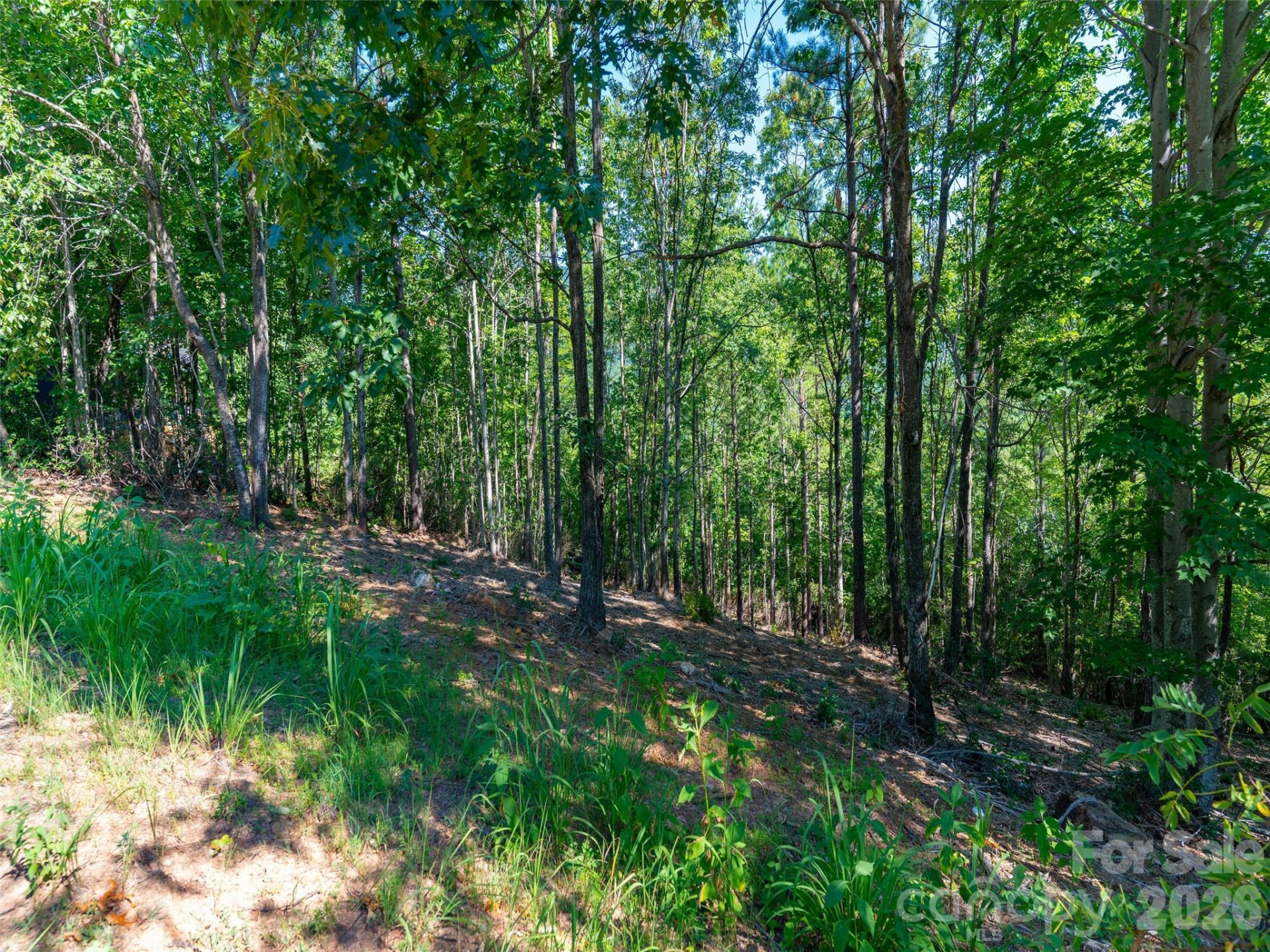 2026 Deep Gap Farm Road - Photo 23